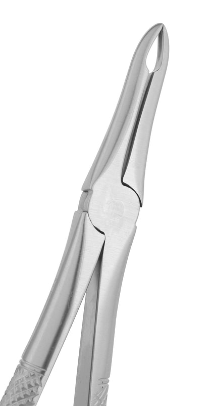 Extraction Forceps 041E