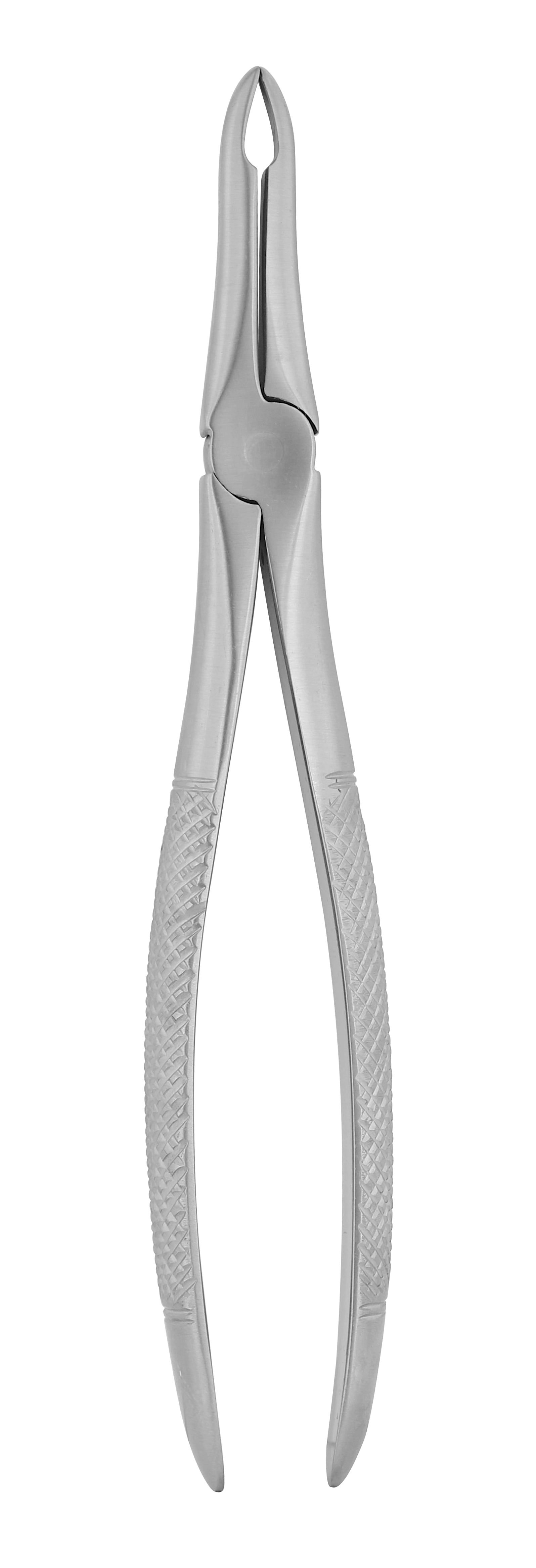 Extraction Forceps 041E