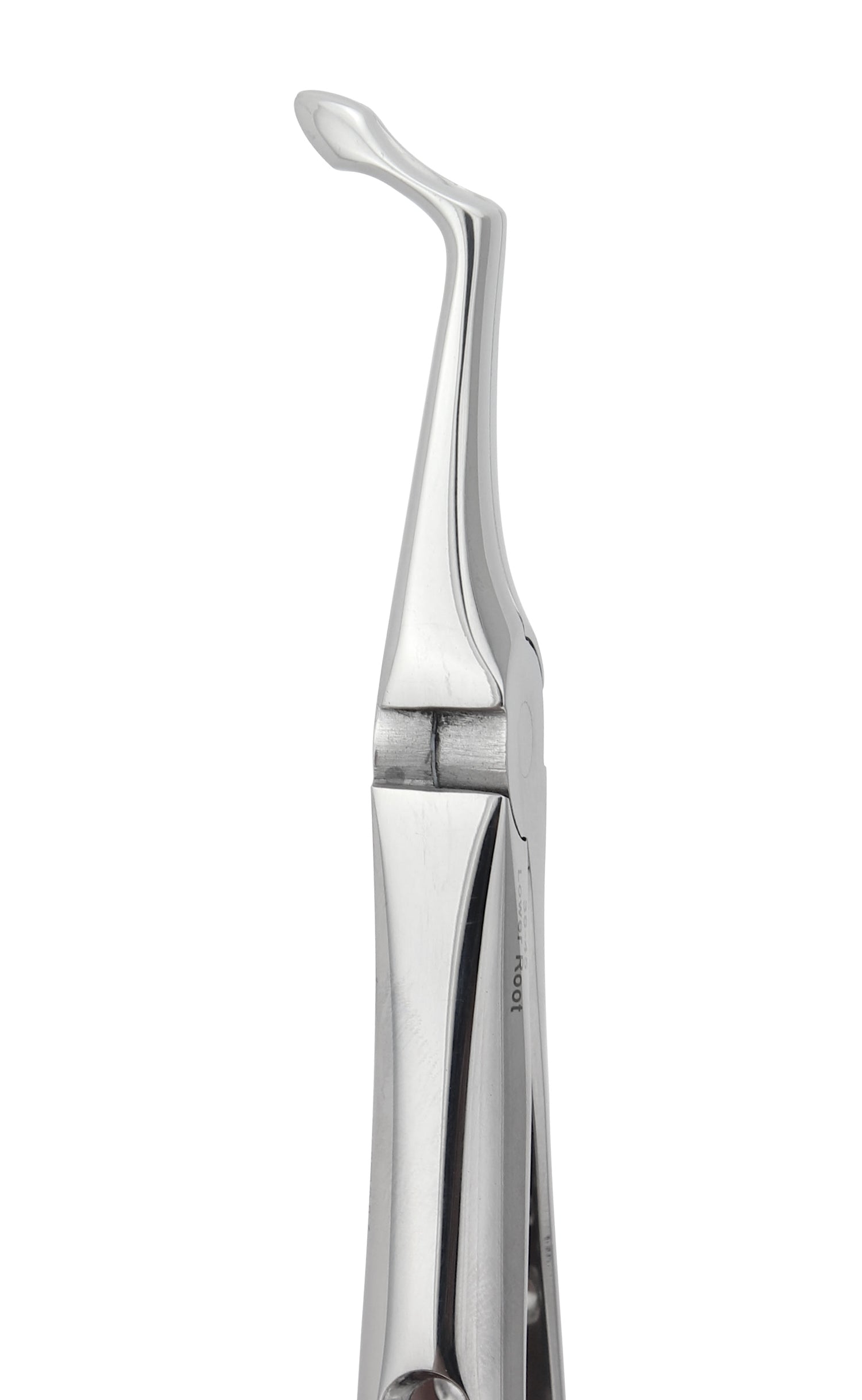 Extraction Forceps 045E