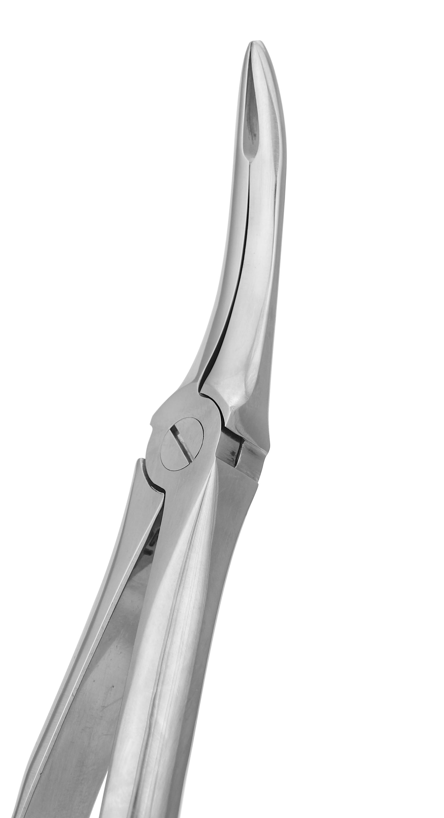 Posterior Root Tip Forceps Upper and Lower 049