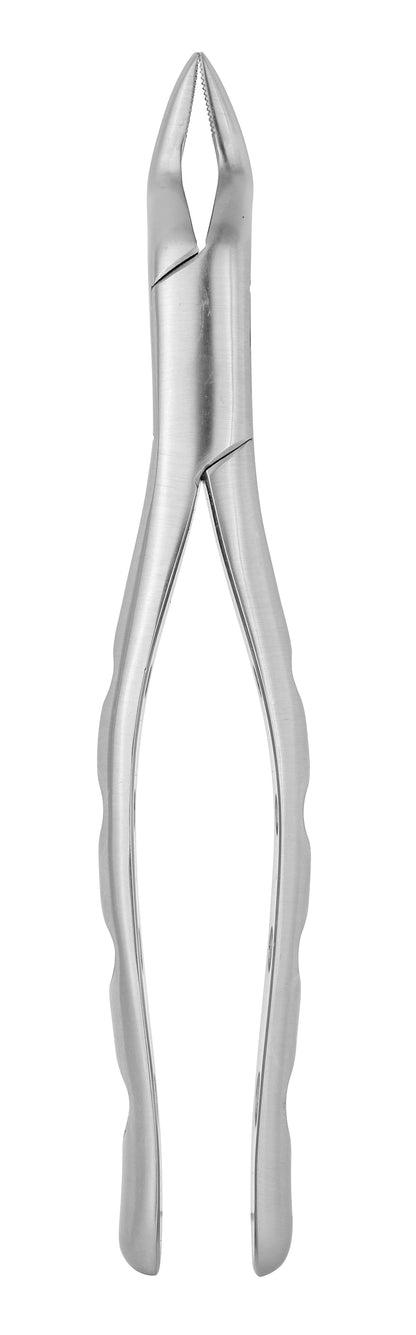 Extraction Forceps 065
