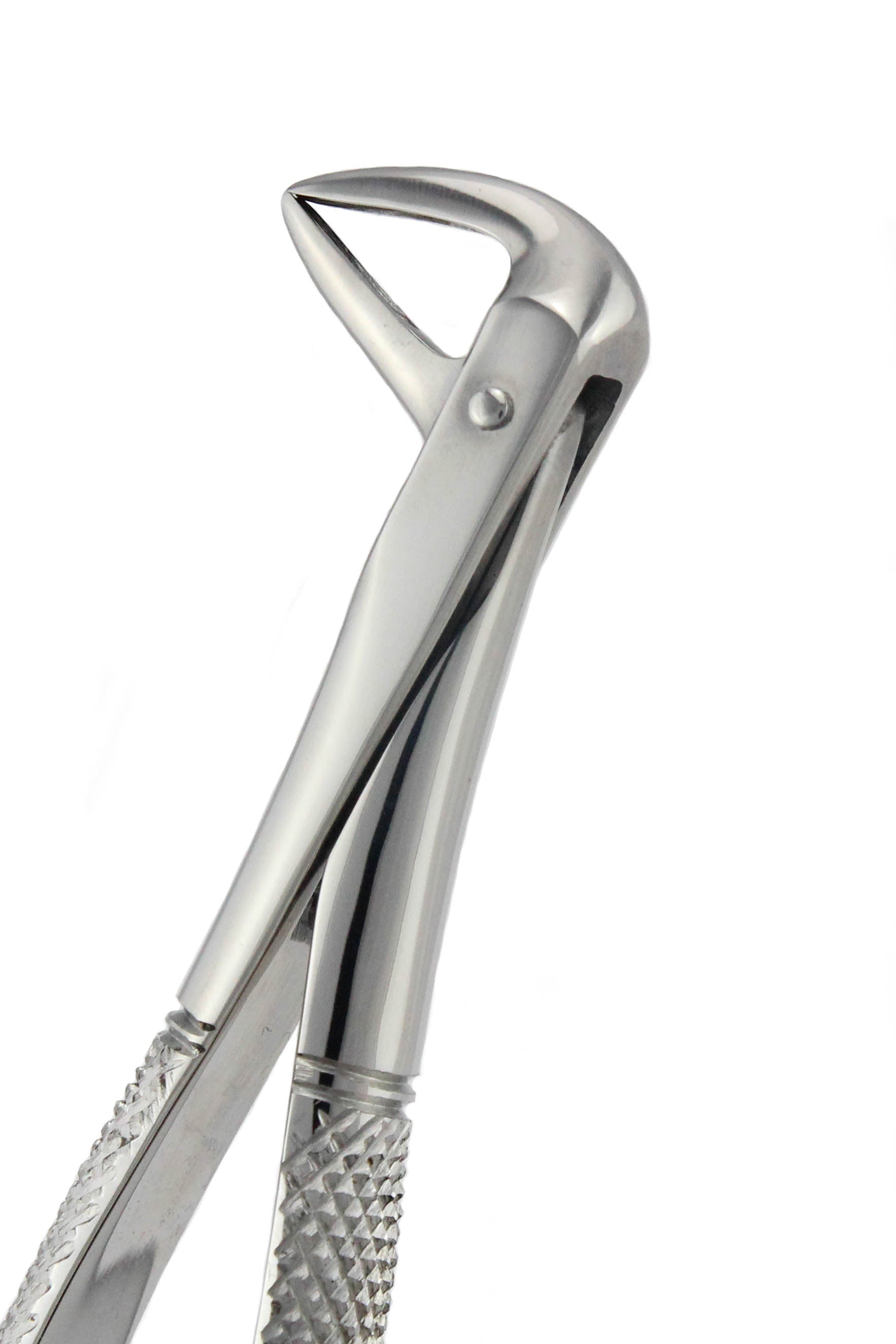 Extraction Forceps 074N