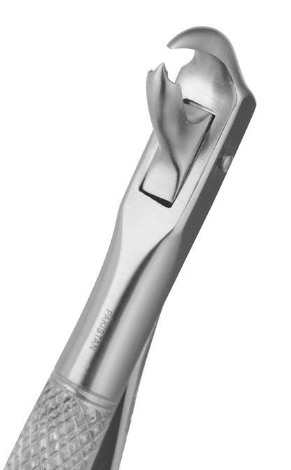 Extraction Forceps 099E