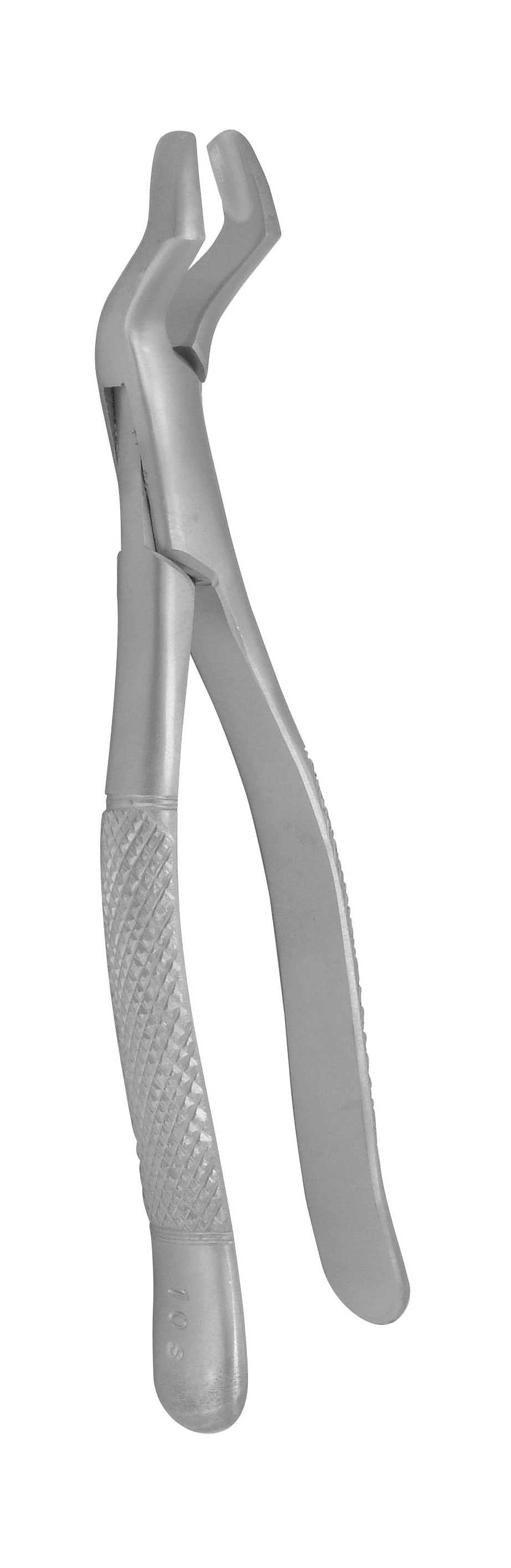 Extraction Forceps 10S