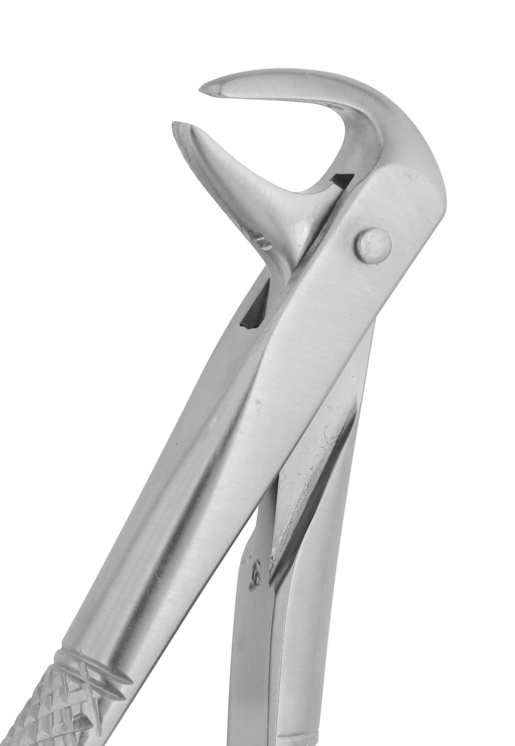 Extraction Forceps 123CE