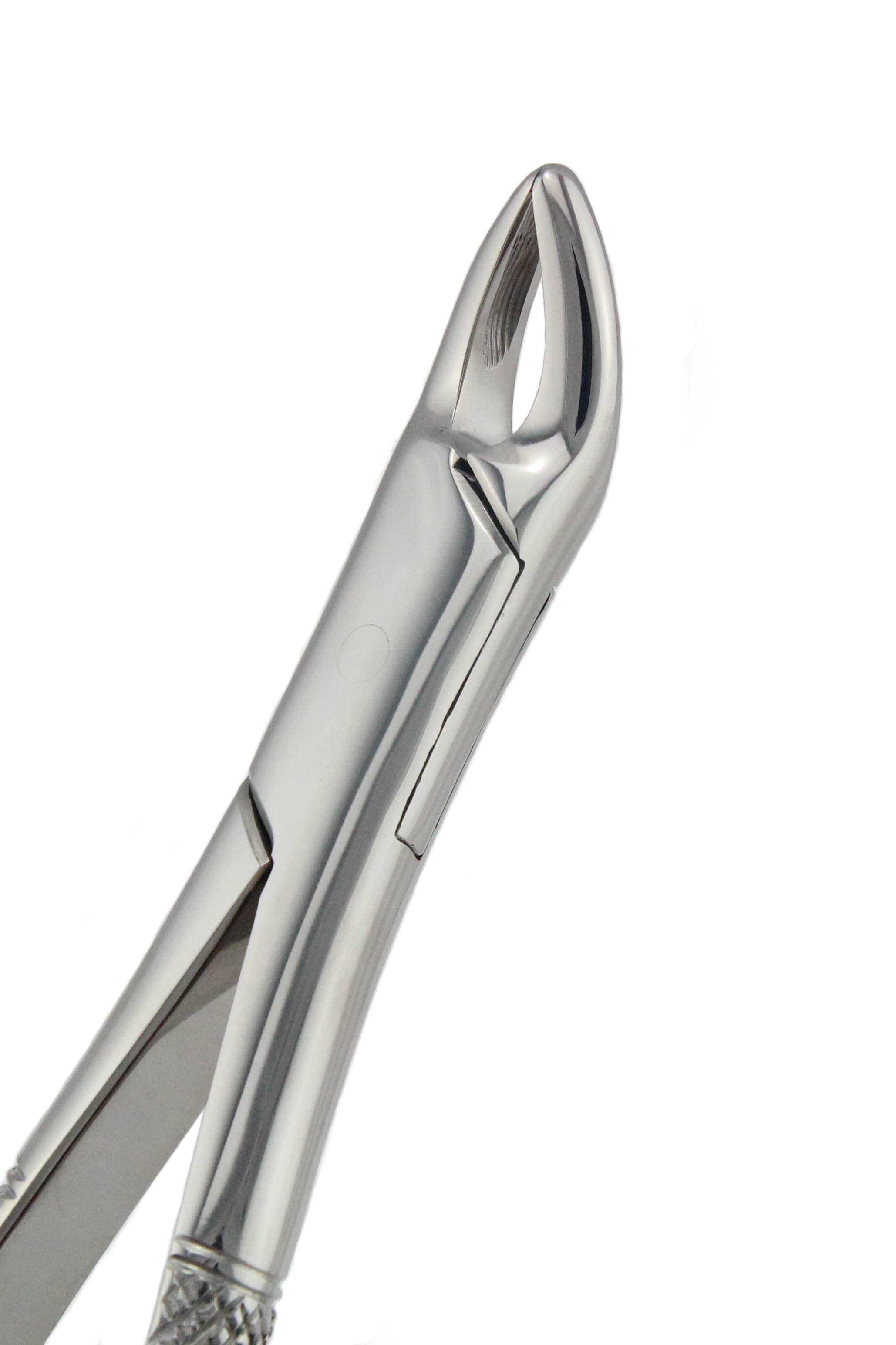 Extraction Forceps 150