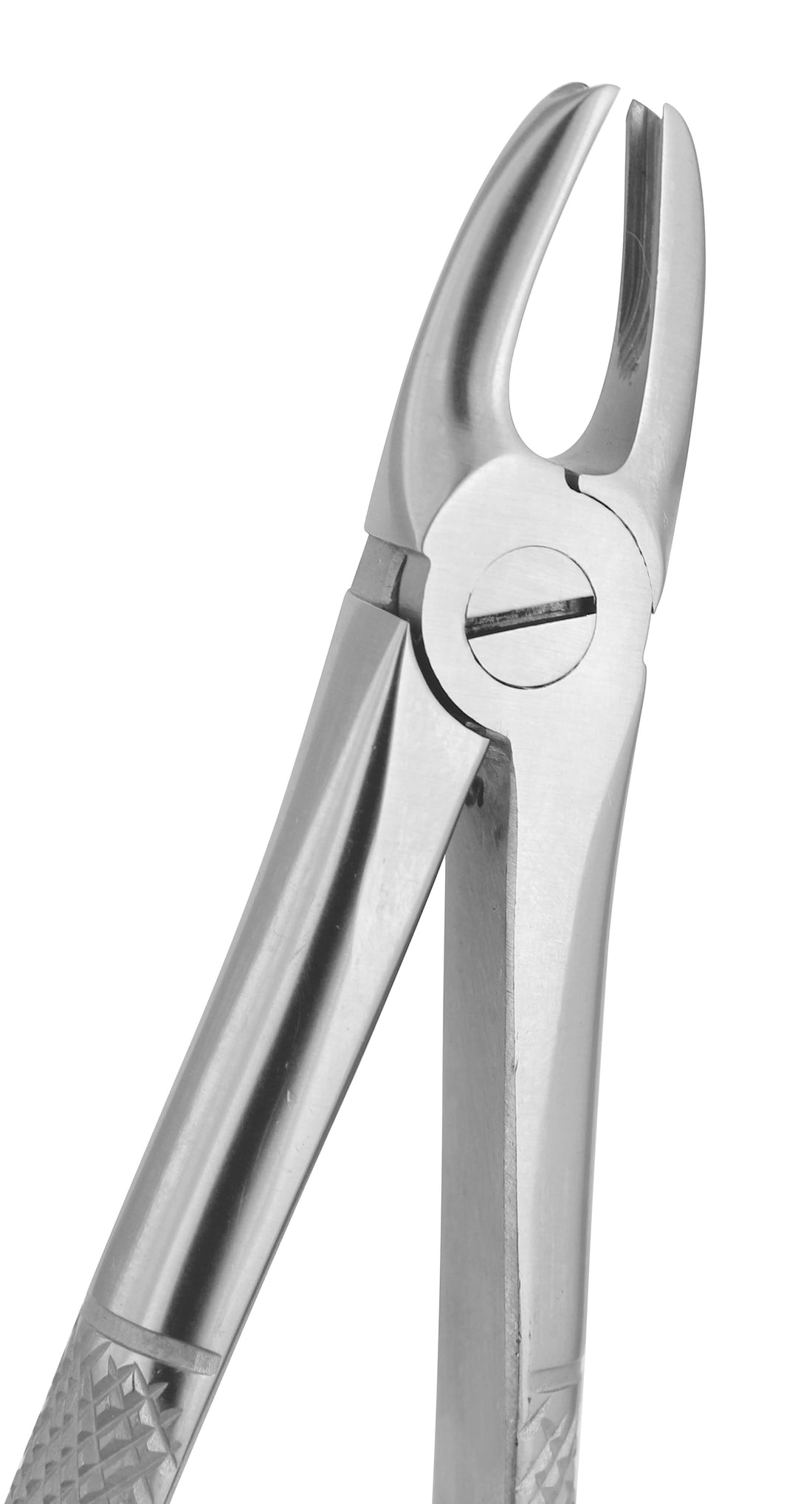 Extraction Forceps 168E