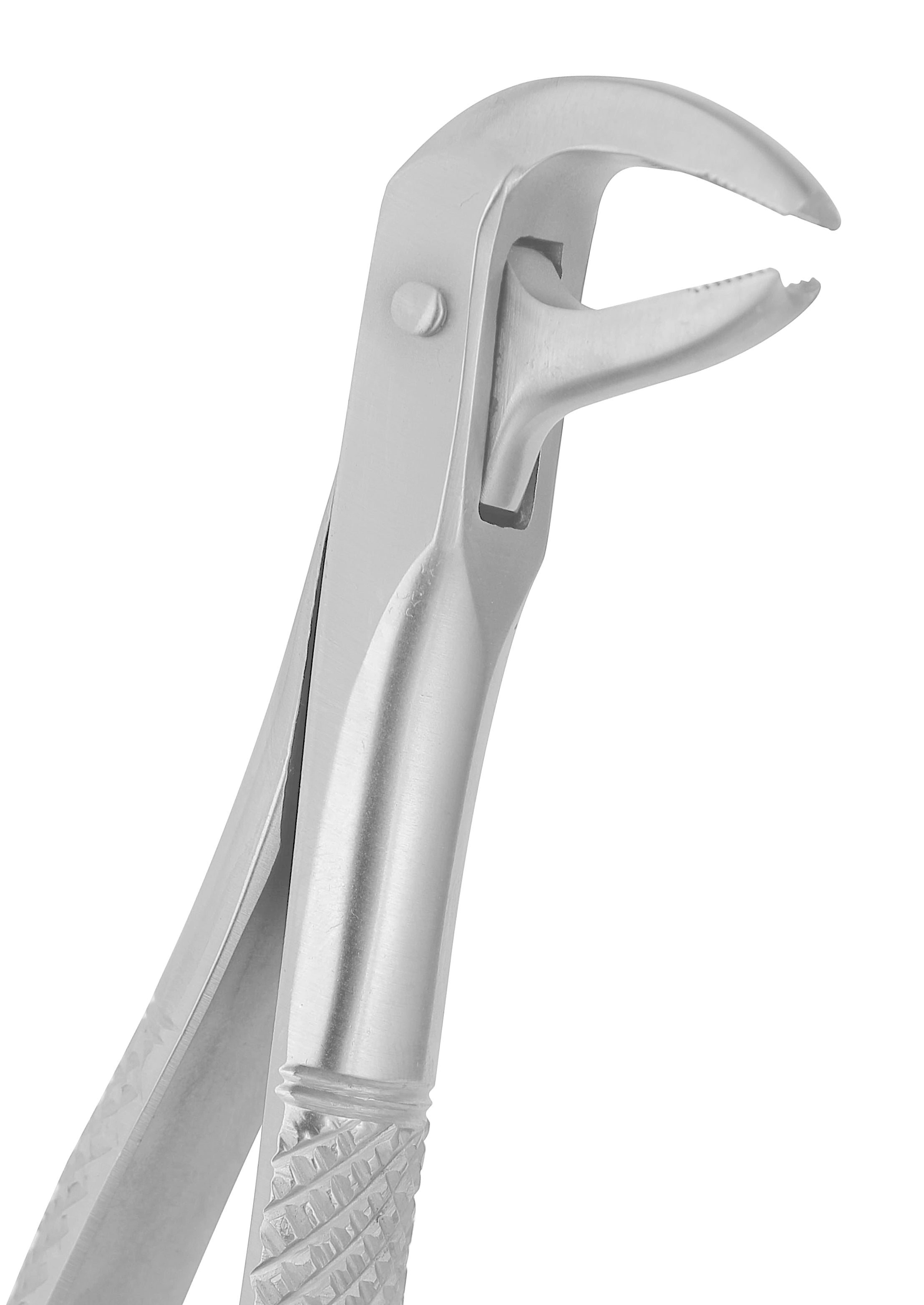 Extraction Forceps 169 Price in USA – Hunza Dental