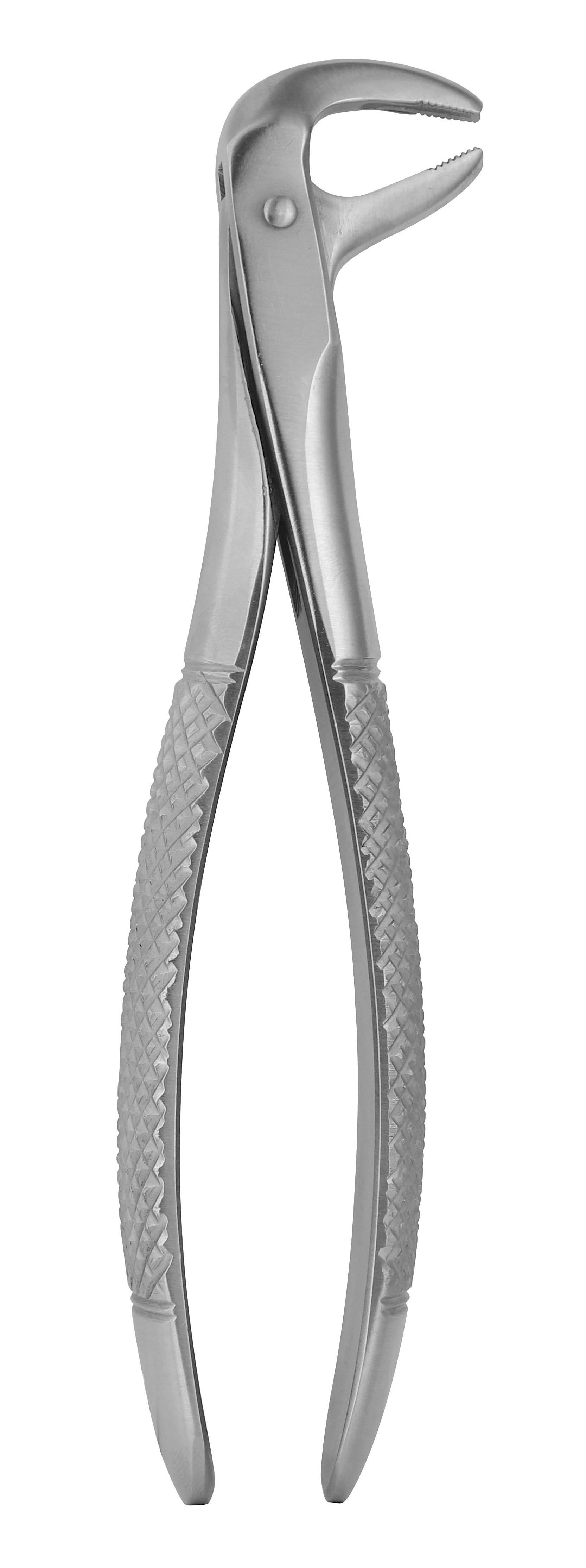 Extraction Forceps 169