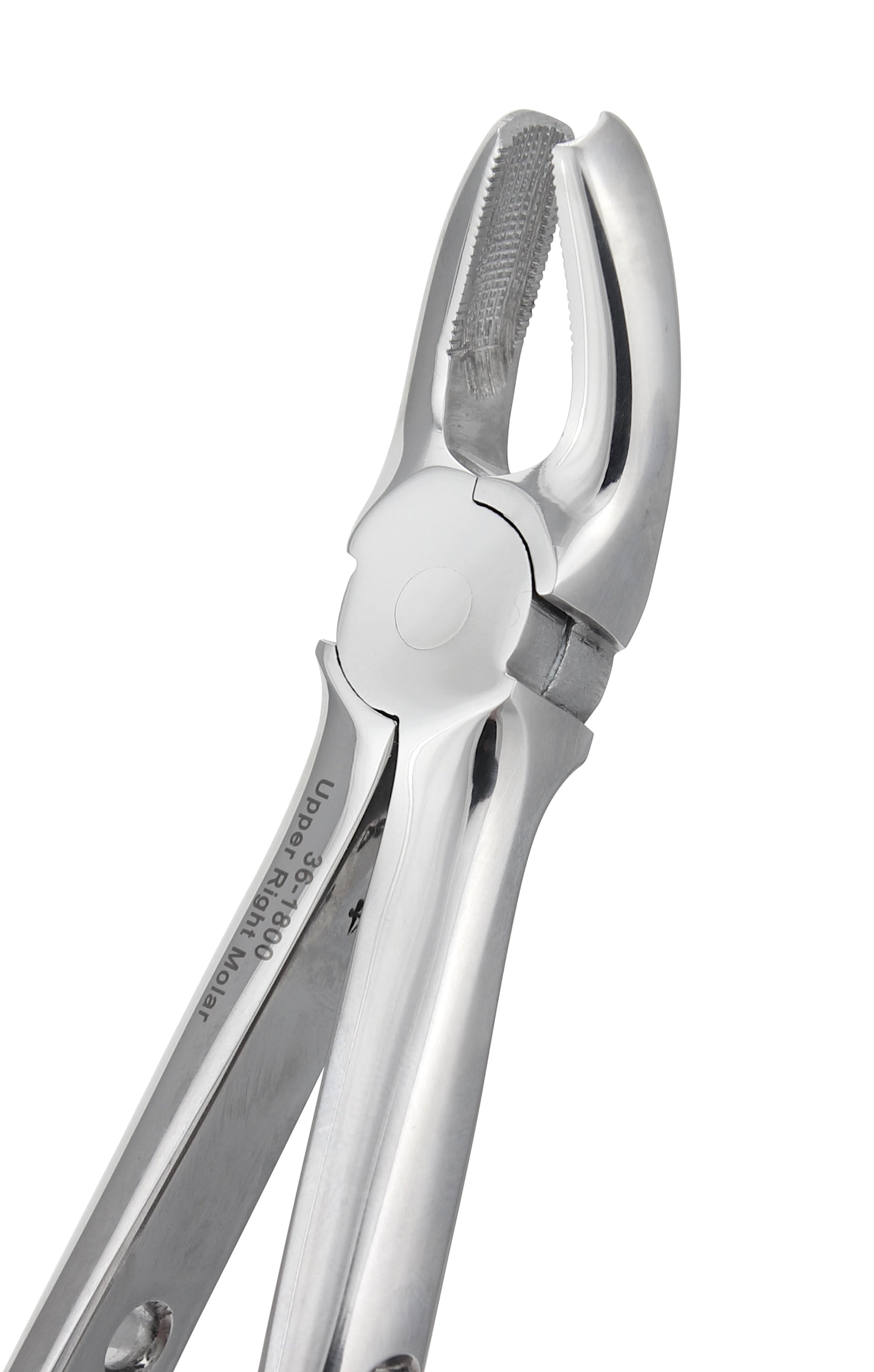 Upper Right Molar Extraction Forceps 1800