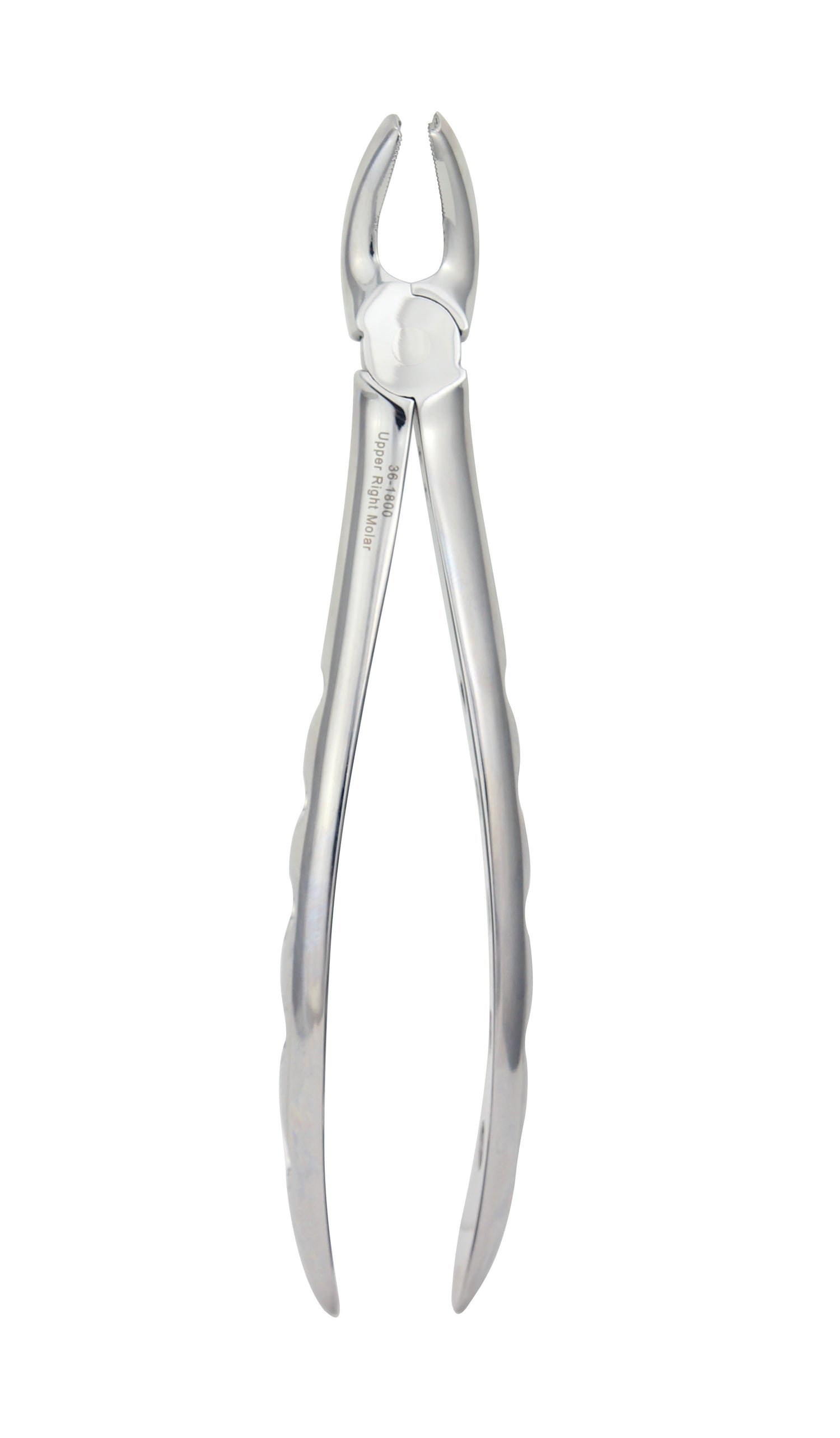 Upper Right Molar Extraction Forceps 1800