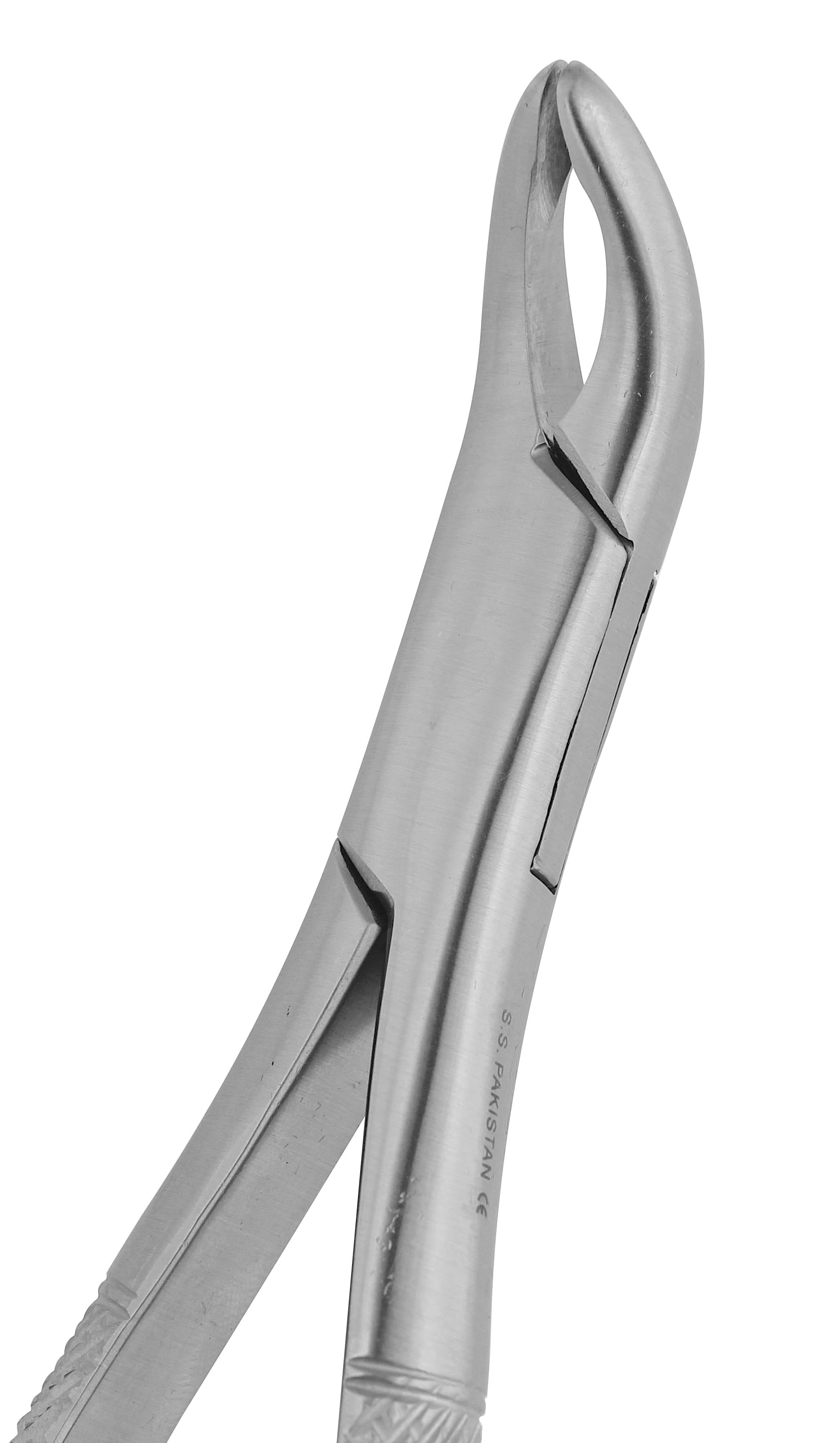 Extraction Forceps 203