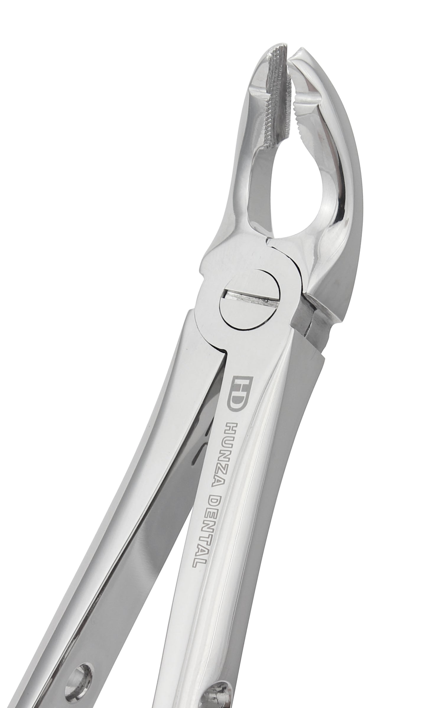 Universal Lower Extraction Forceps 2190 Online | Hunzadental – Hunza Dental