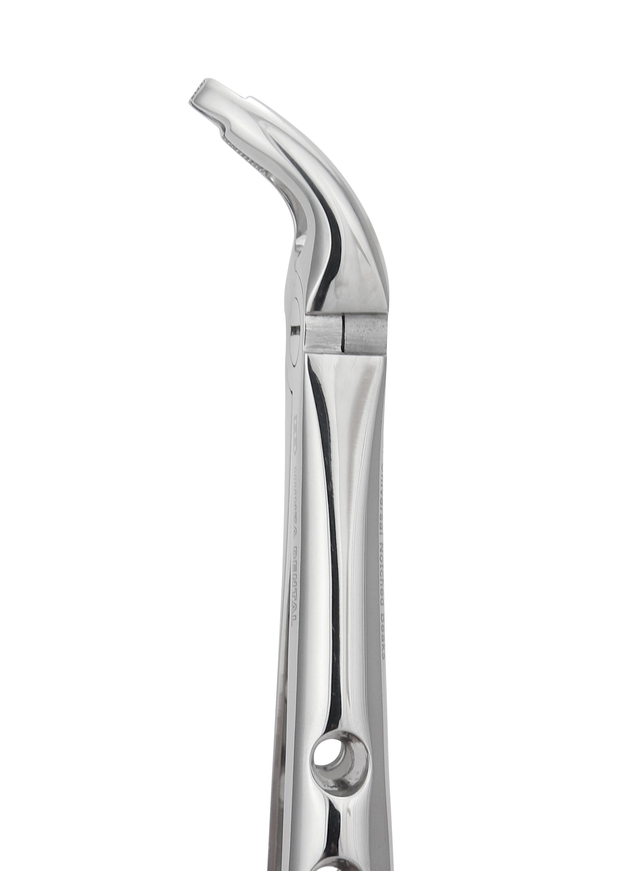Universal Lower Extraction Forceps 2190