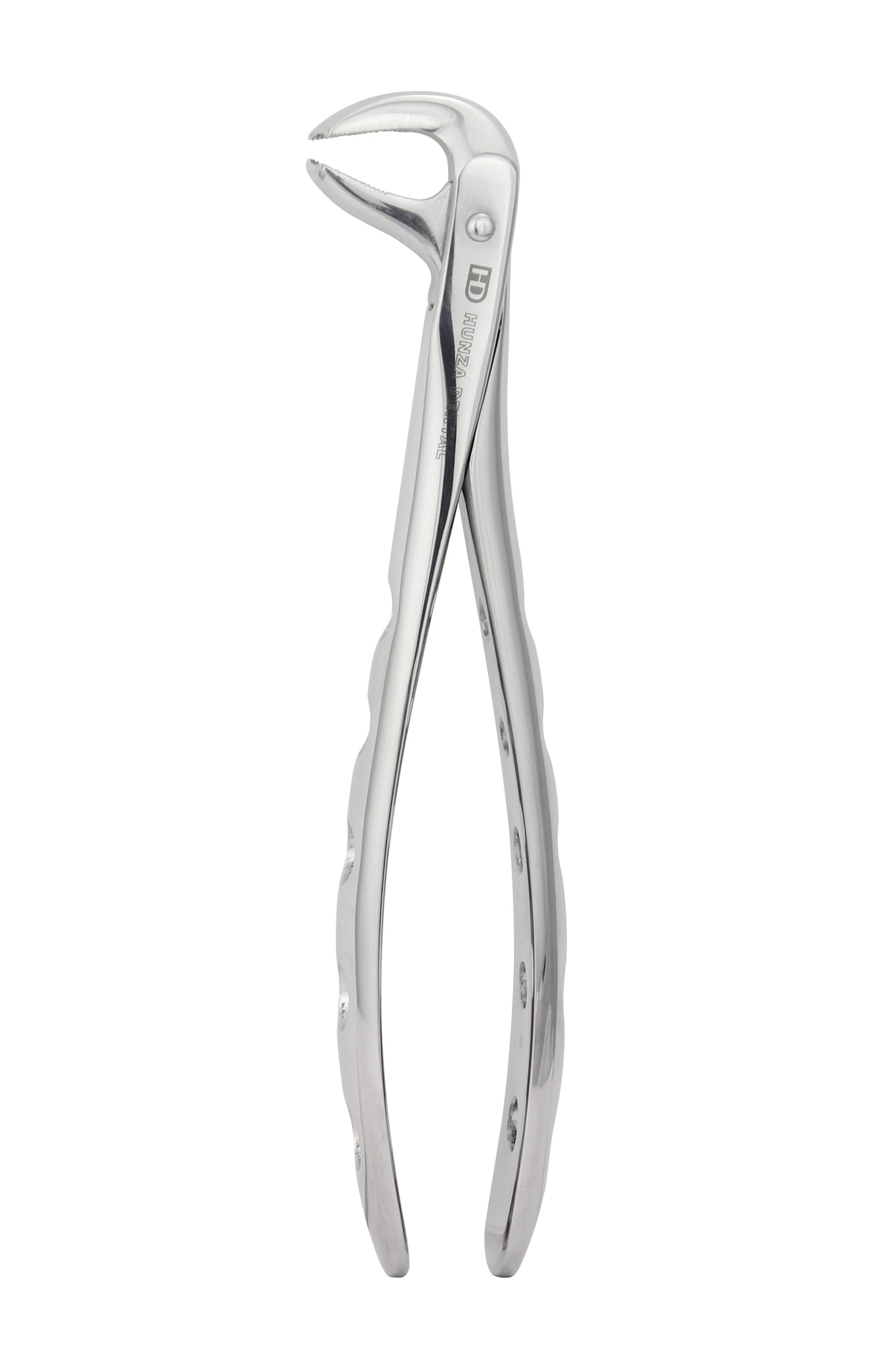 Extraction Forceps 301, Serrated Tip