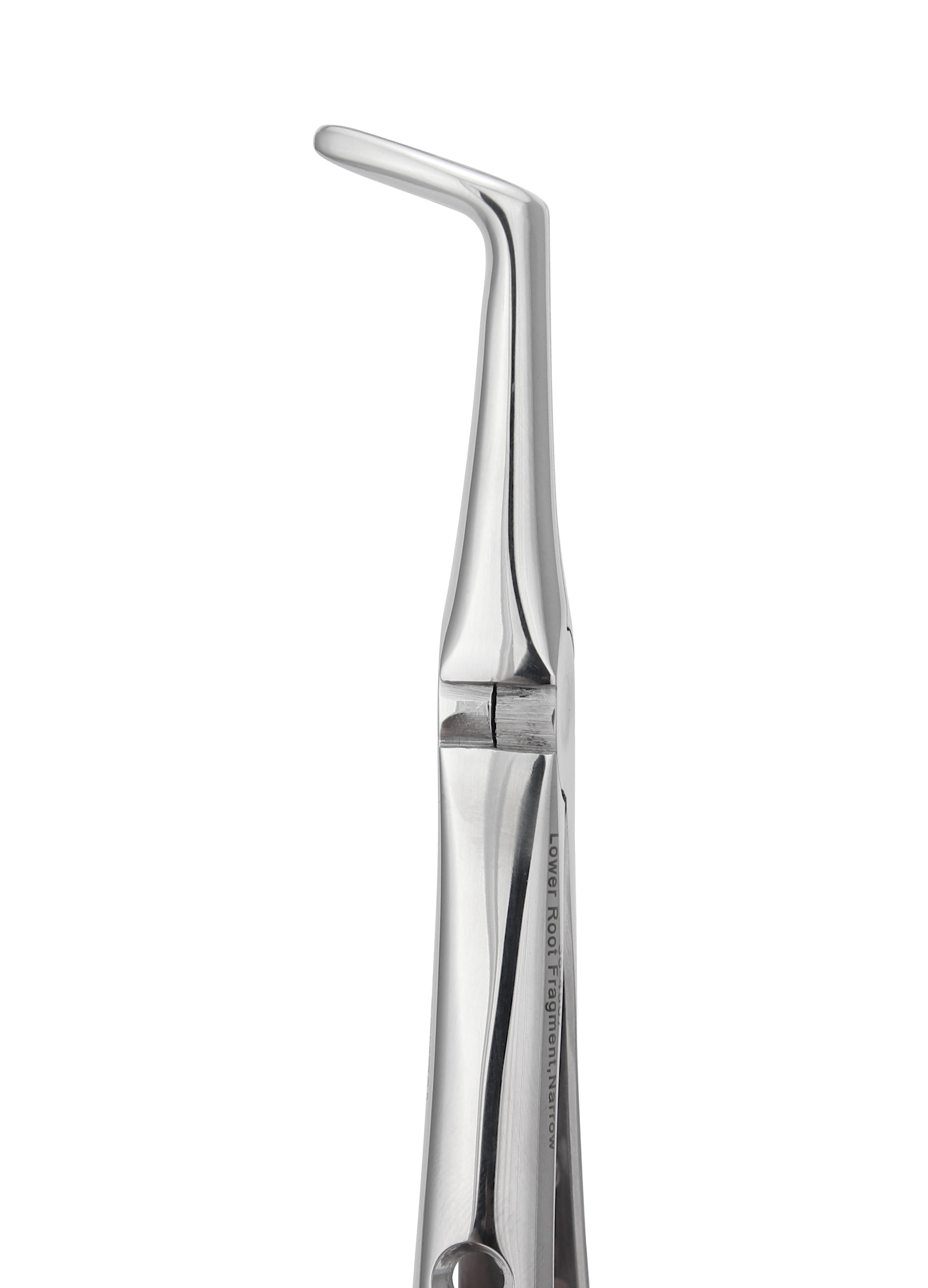 Lower Root Tip Forceps 4507