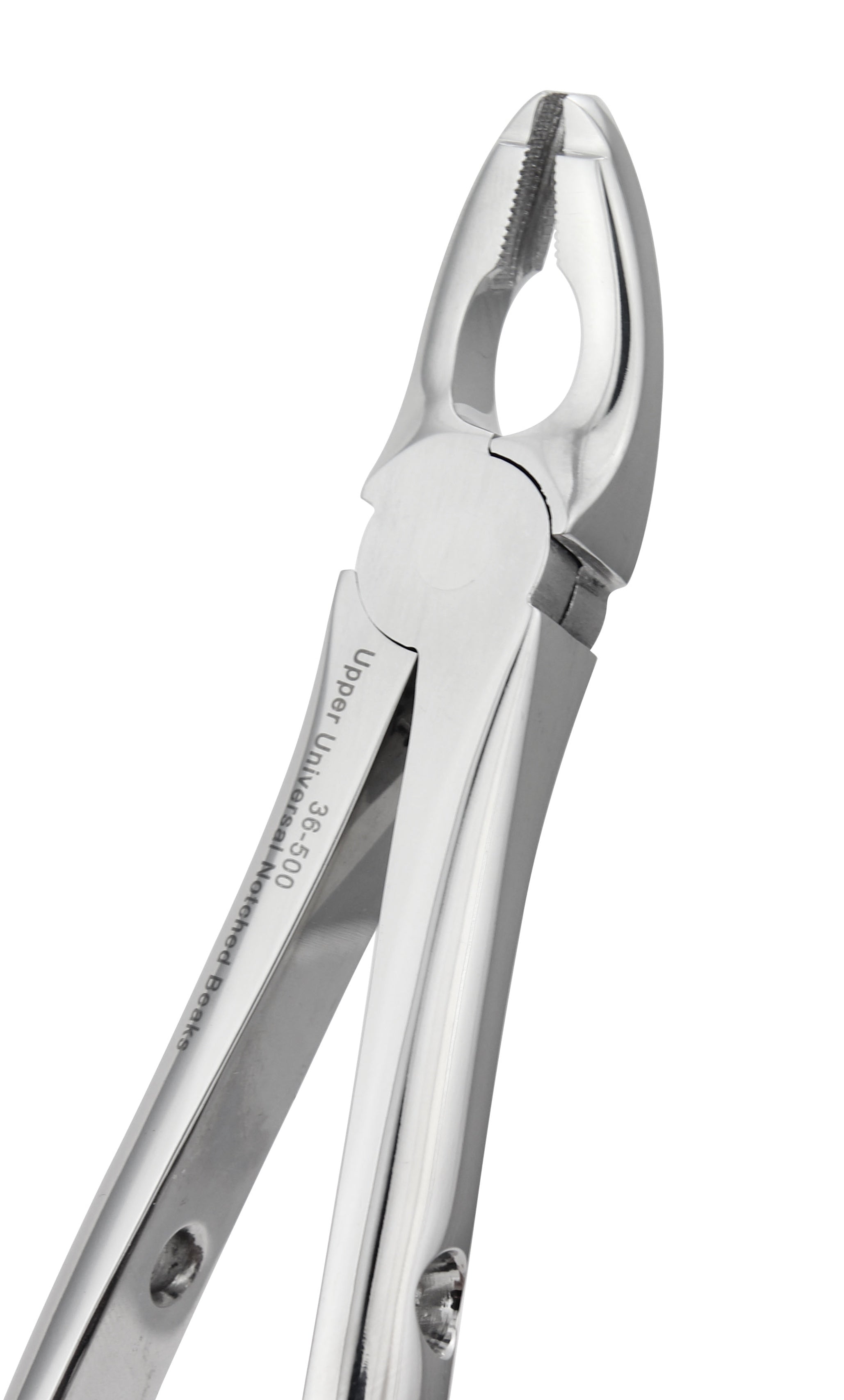 Universal Upper Extraction Forceps 500