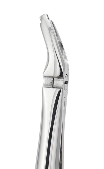 Universal Upper Extraction Forceps 500