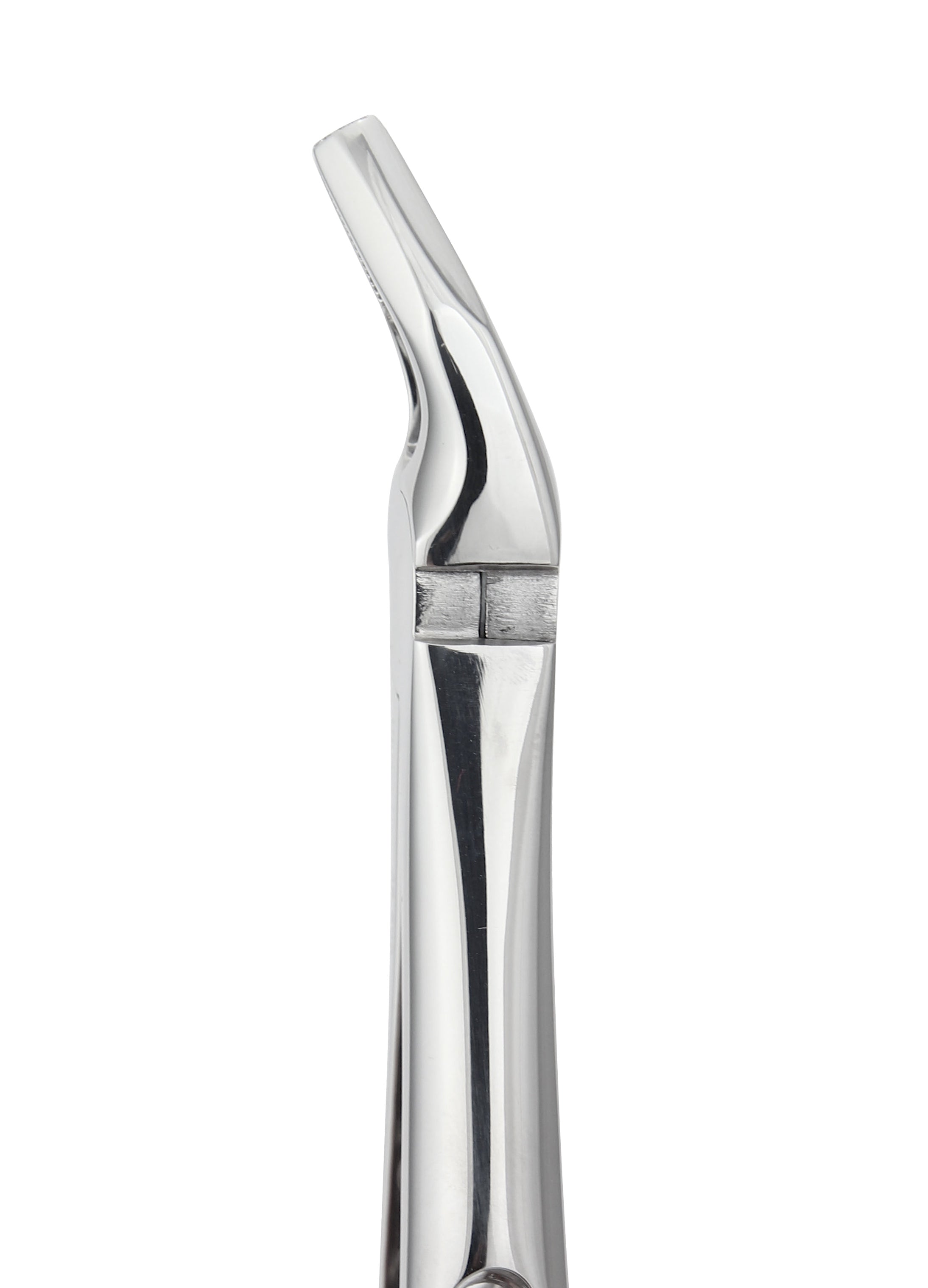 Universal Upper Extraction Forceps 508