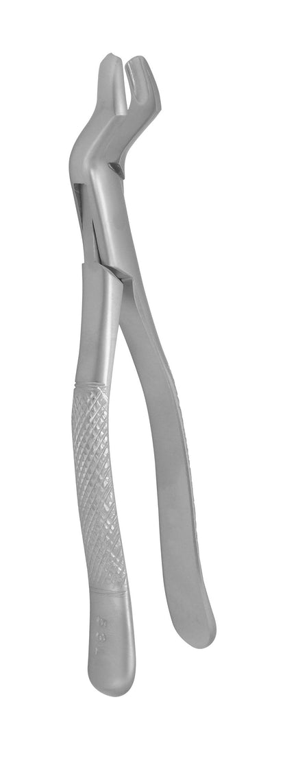 Forceps 53 R Extraction Forceps 53L & 53R Online – Buy Online in New Jersey, USA ...