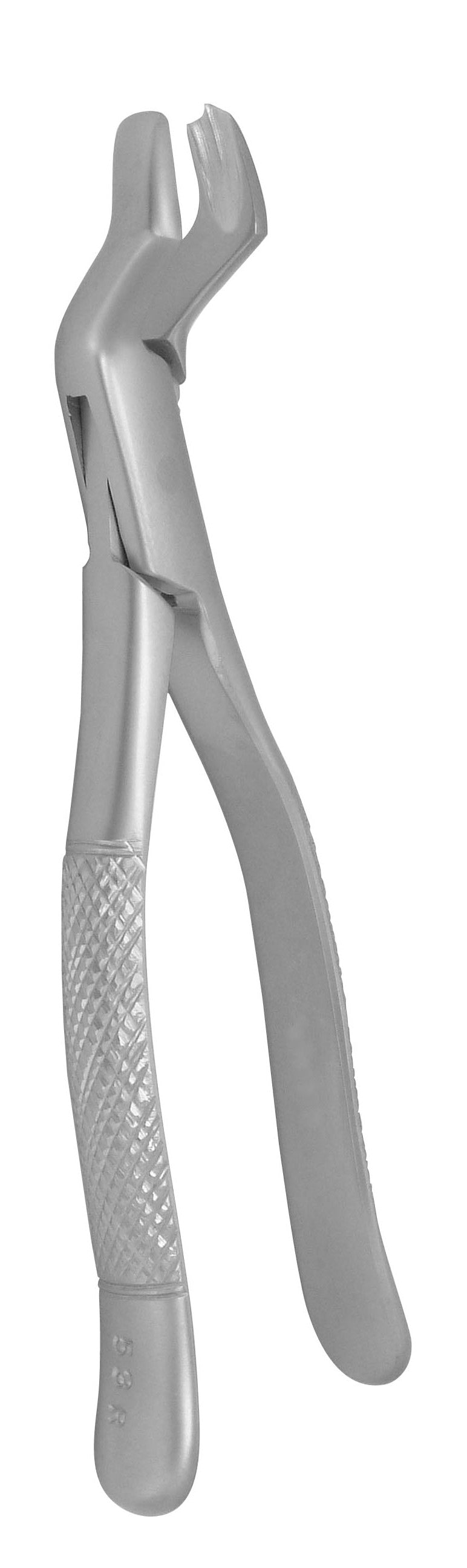 Forceps 53 R Extraction Forceps 53R Price in USA – Hunza Dental