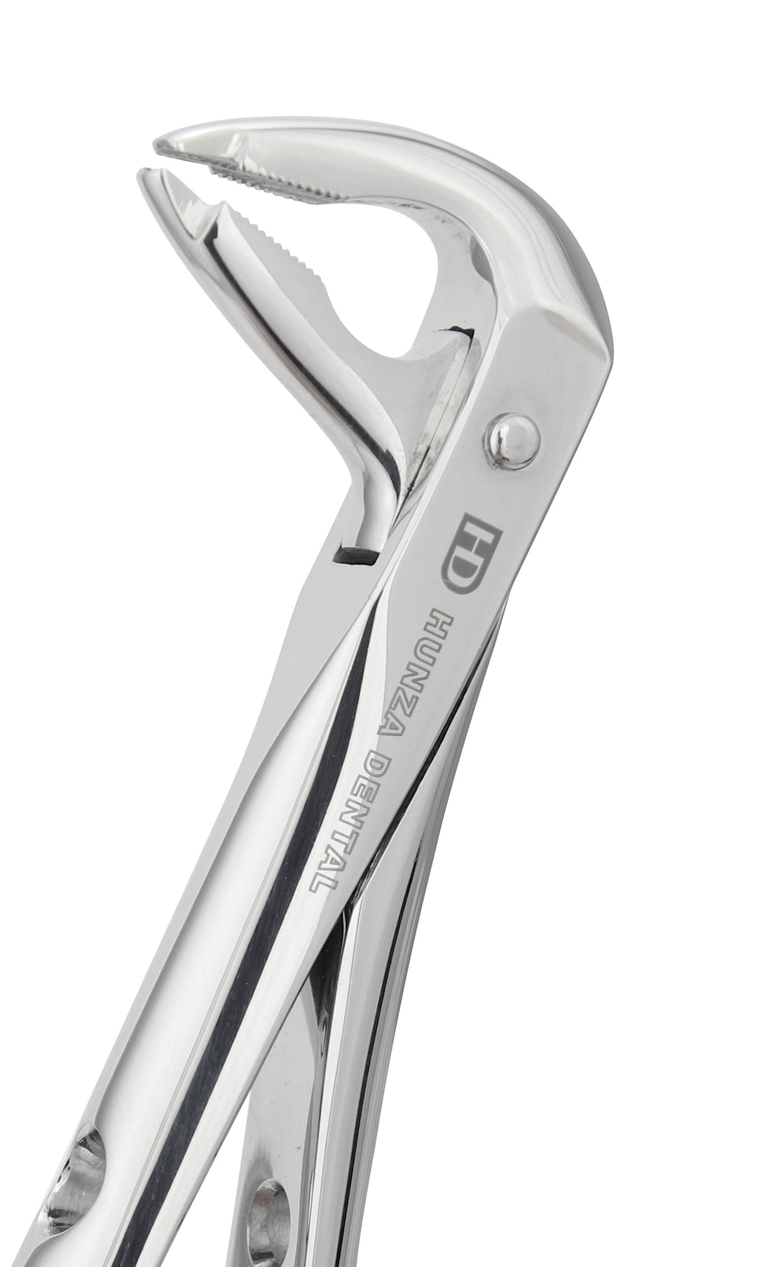 Lower Anterior Extraction Forceps 600