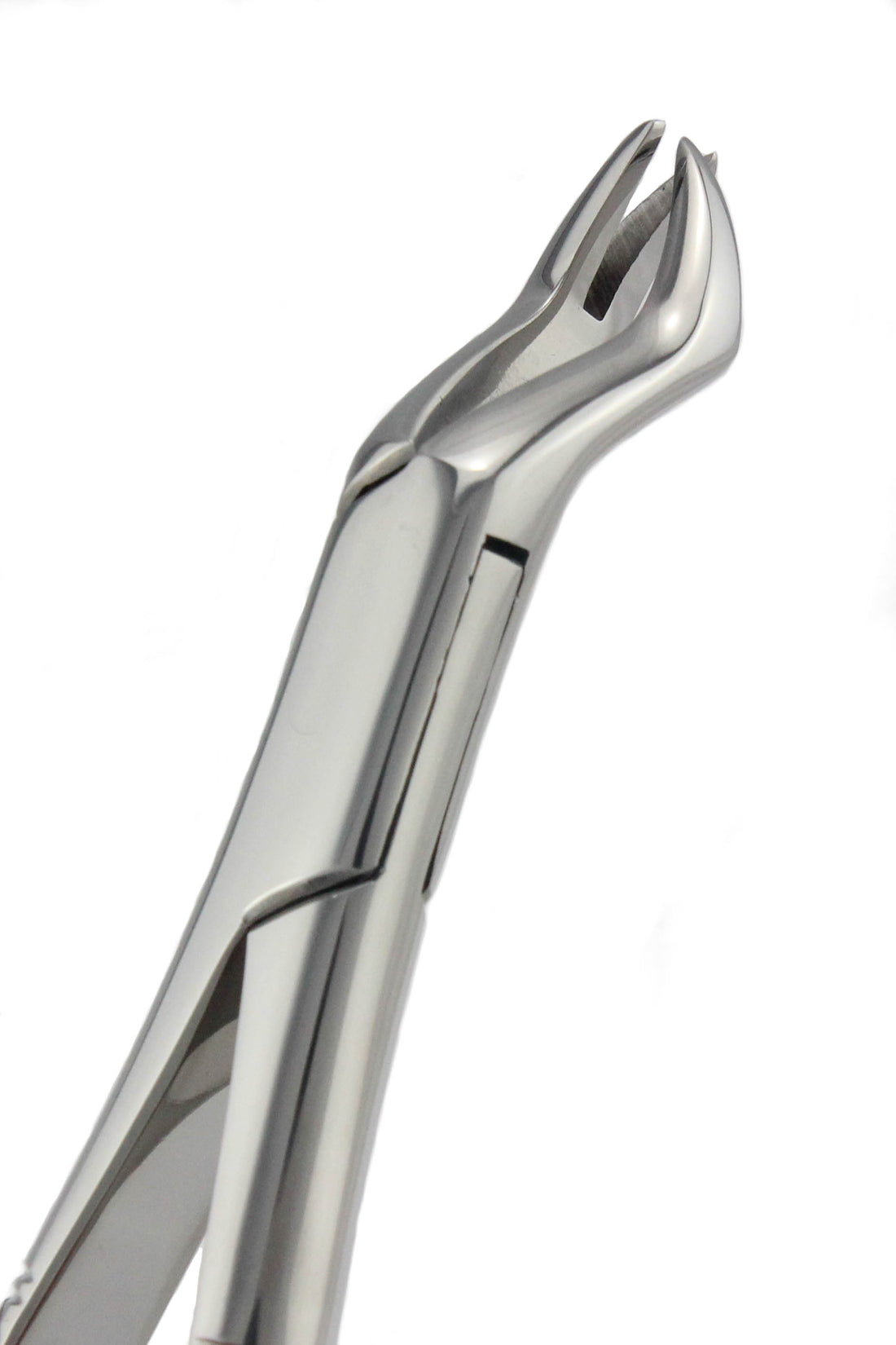 Extraction Forceps 88L