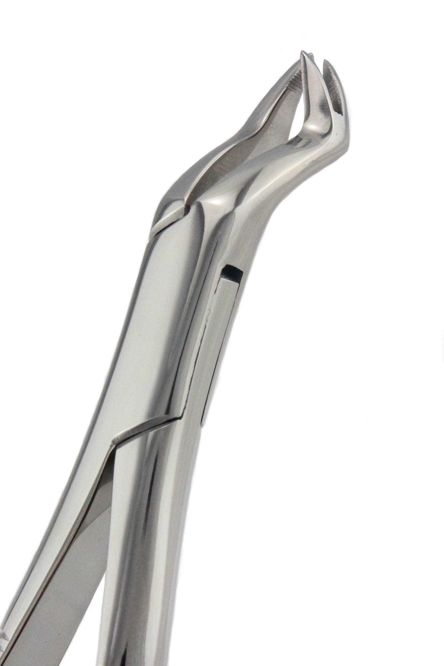 Extraction Forceps 88L &amp; 88R