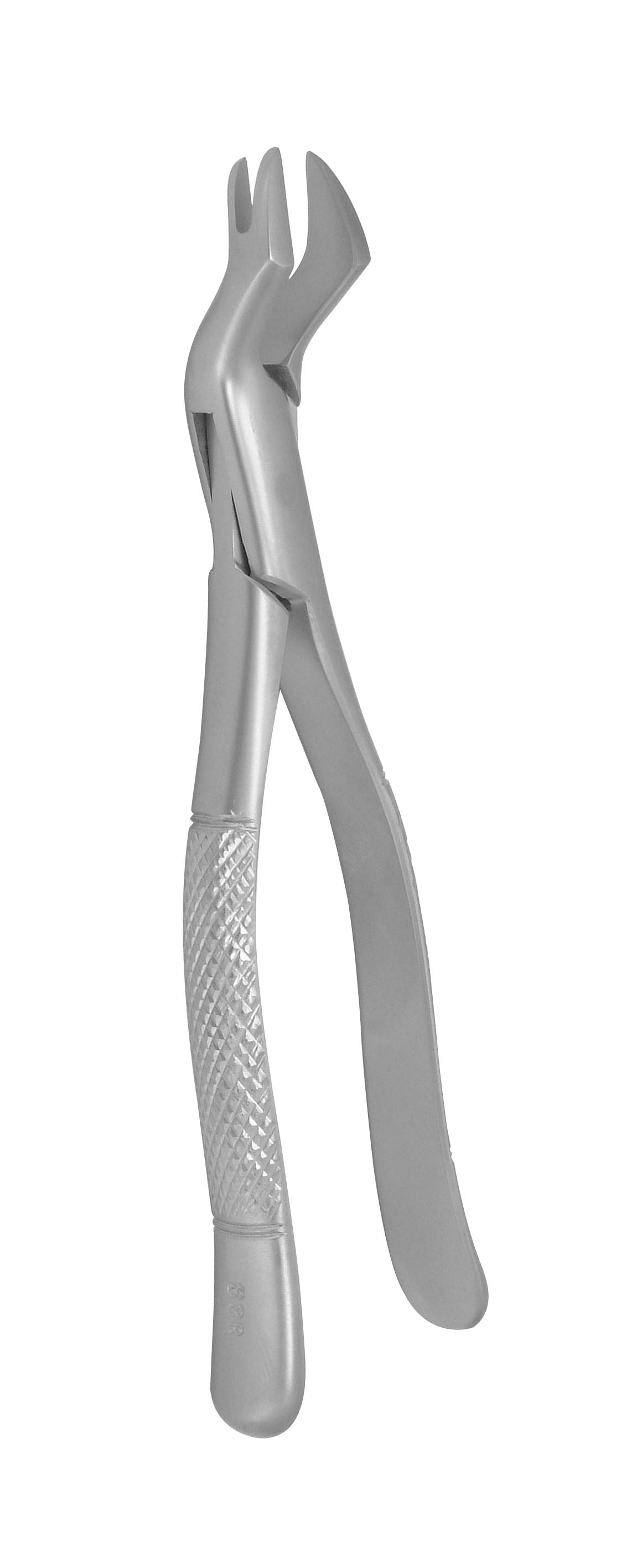 Extraction Forceps 88L &amp; 88R