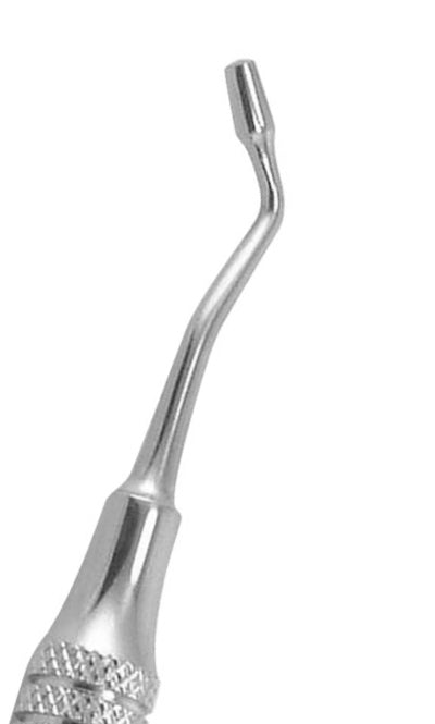 AMALGAM CARVER HOLLENBACK 1/2 | - Since 1873 - Foto 14