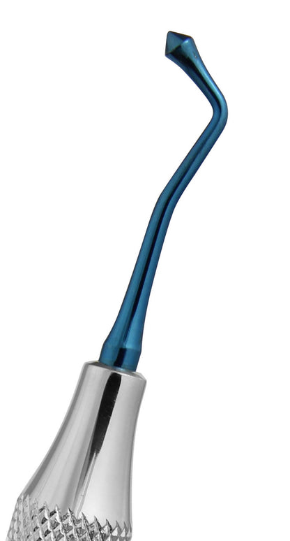 Composite Instrument With Acorns