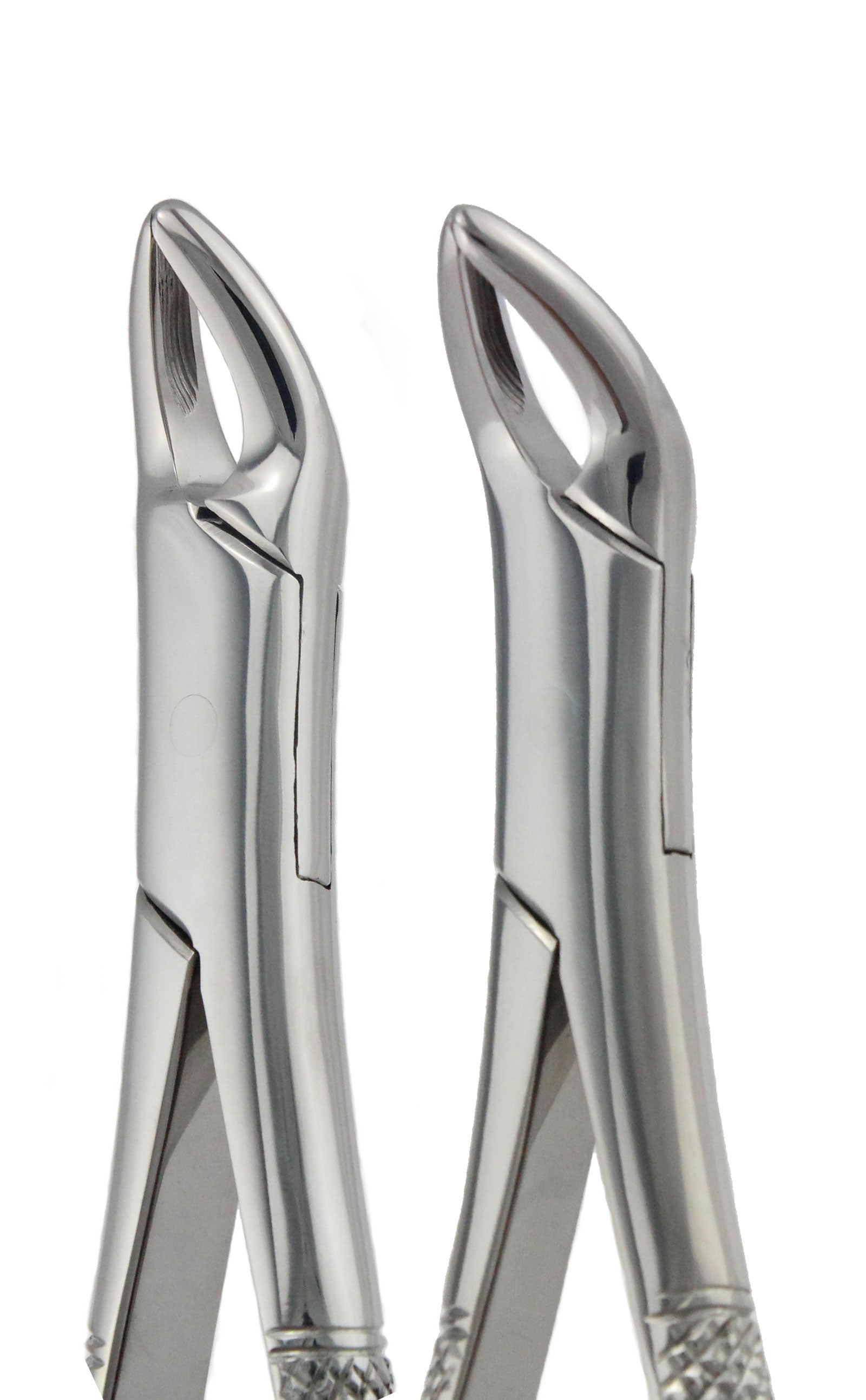 Extraction Forceps 150 &amp; 151