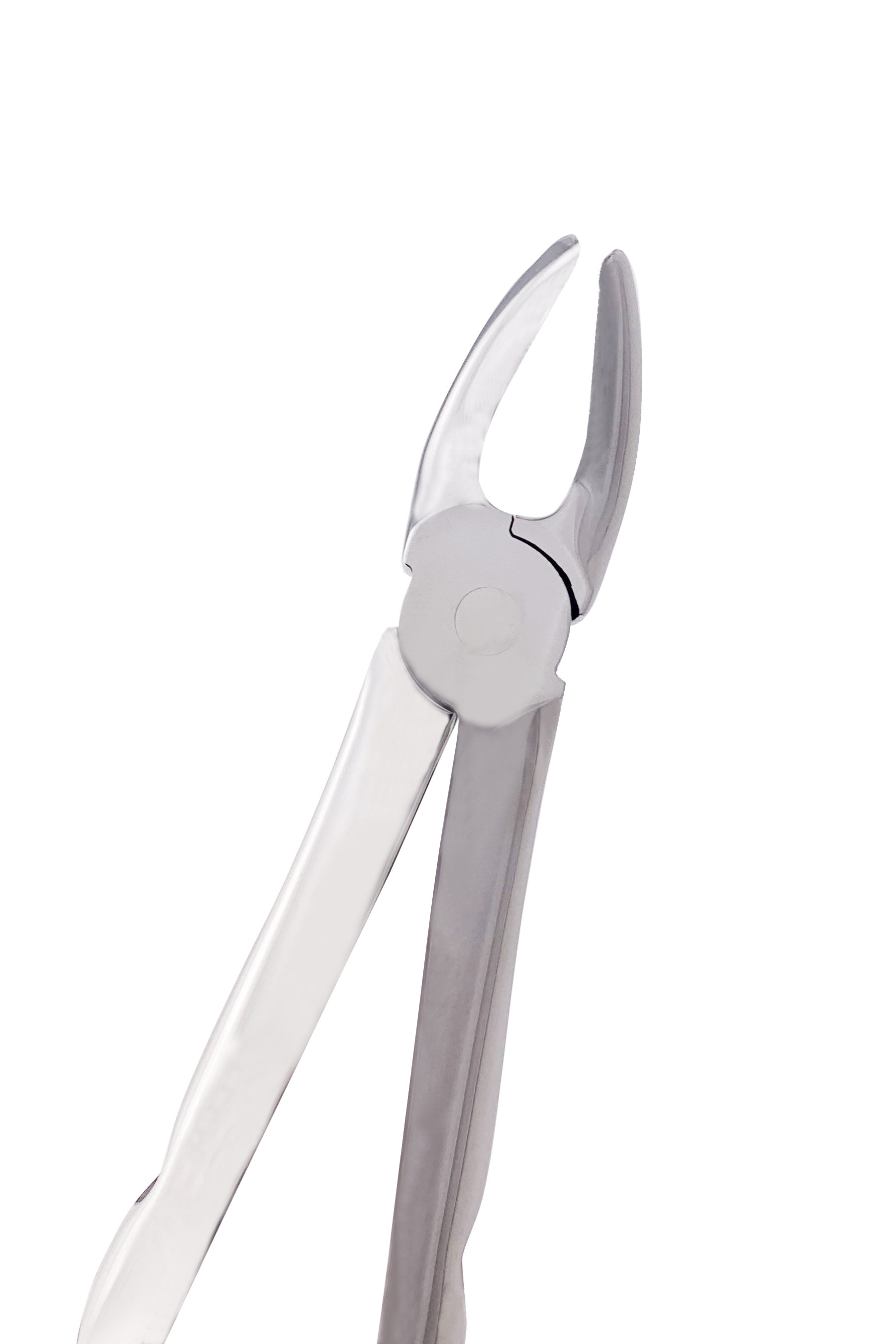Atraumatic Extraction Apical Forcep Upper Universal