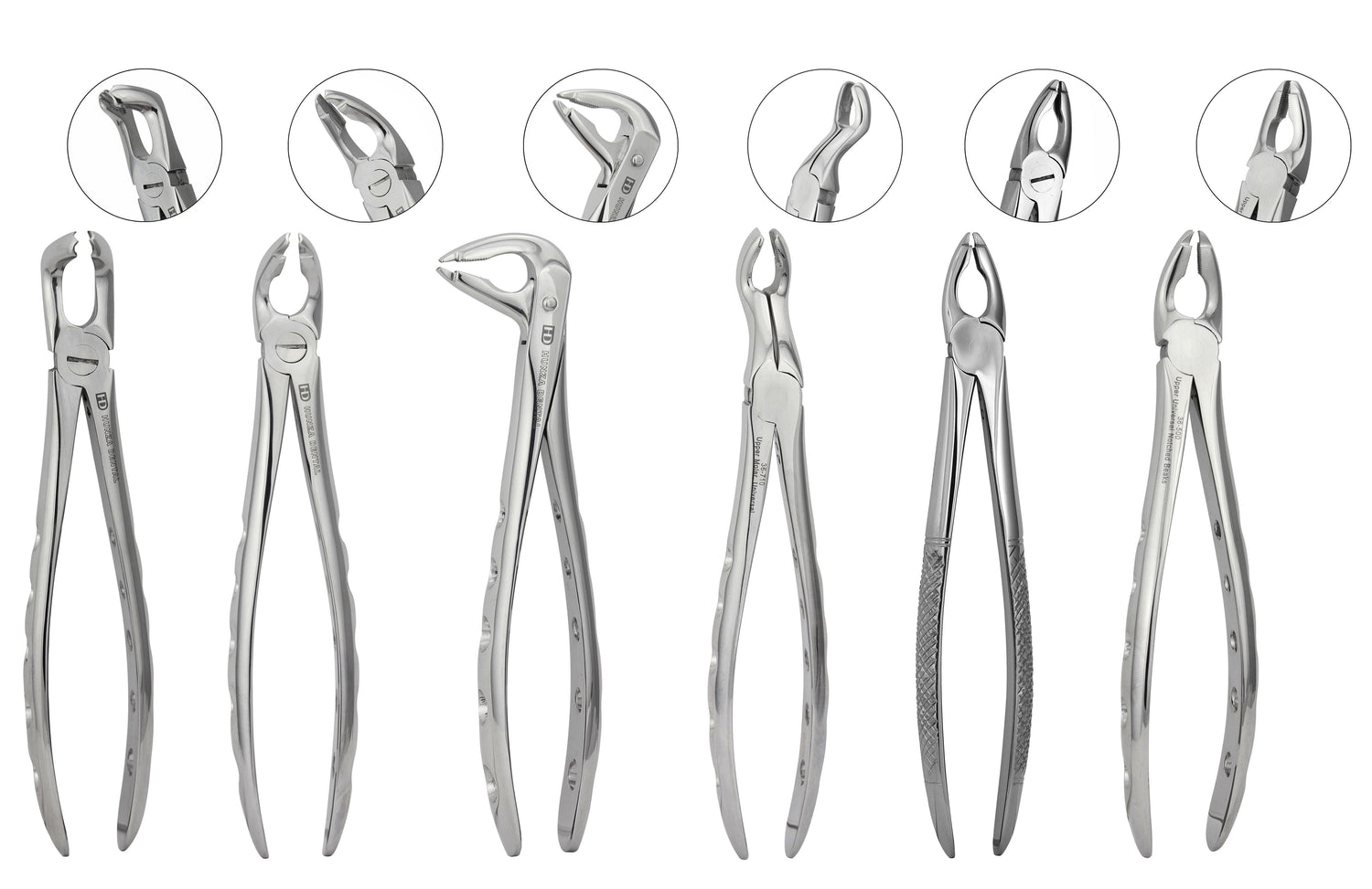 Atraumatic Extraction Forceps Set of 6