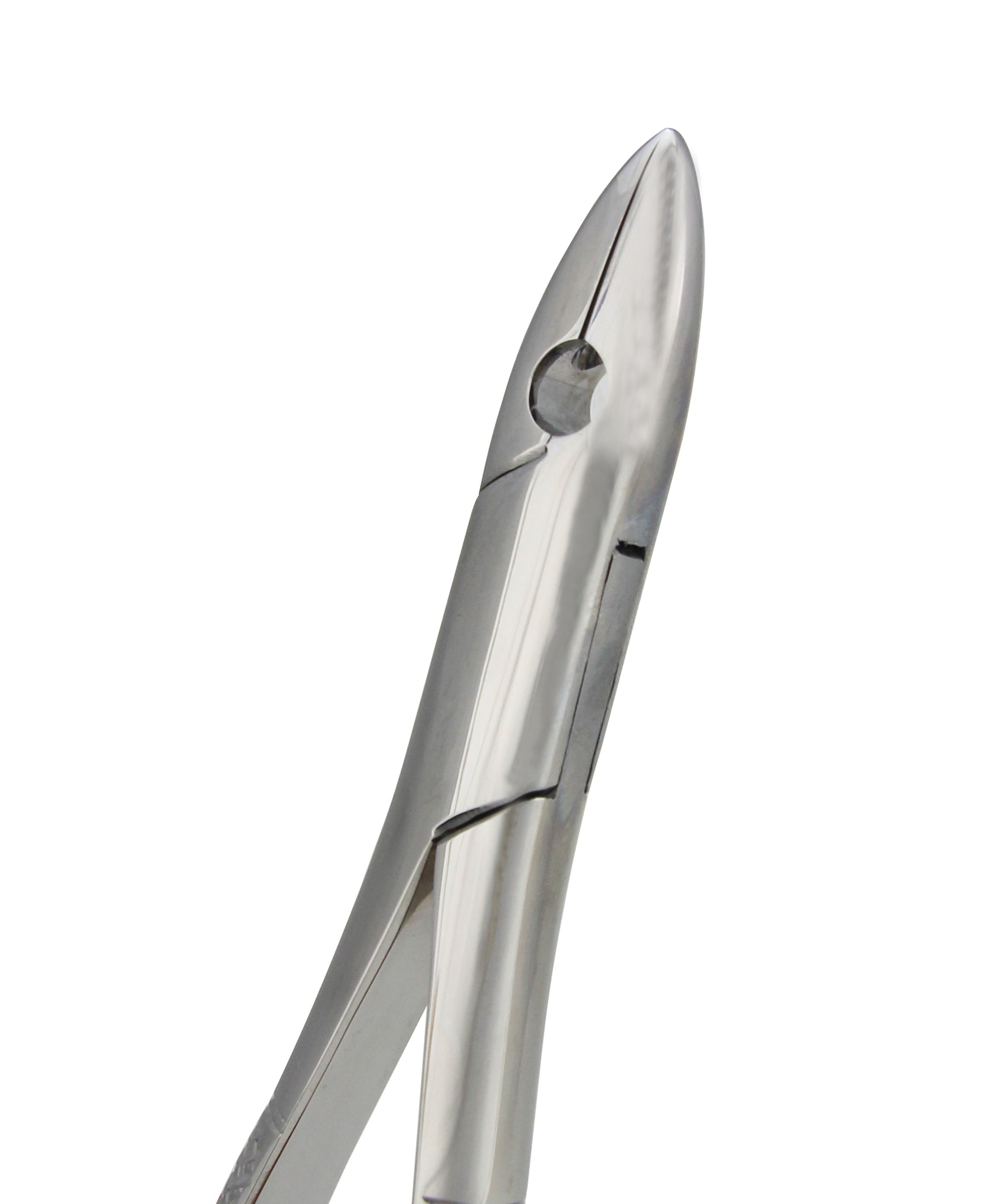 Extraction Forceps 001