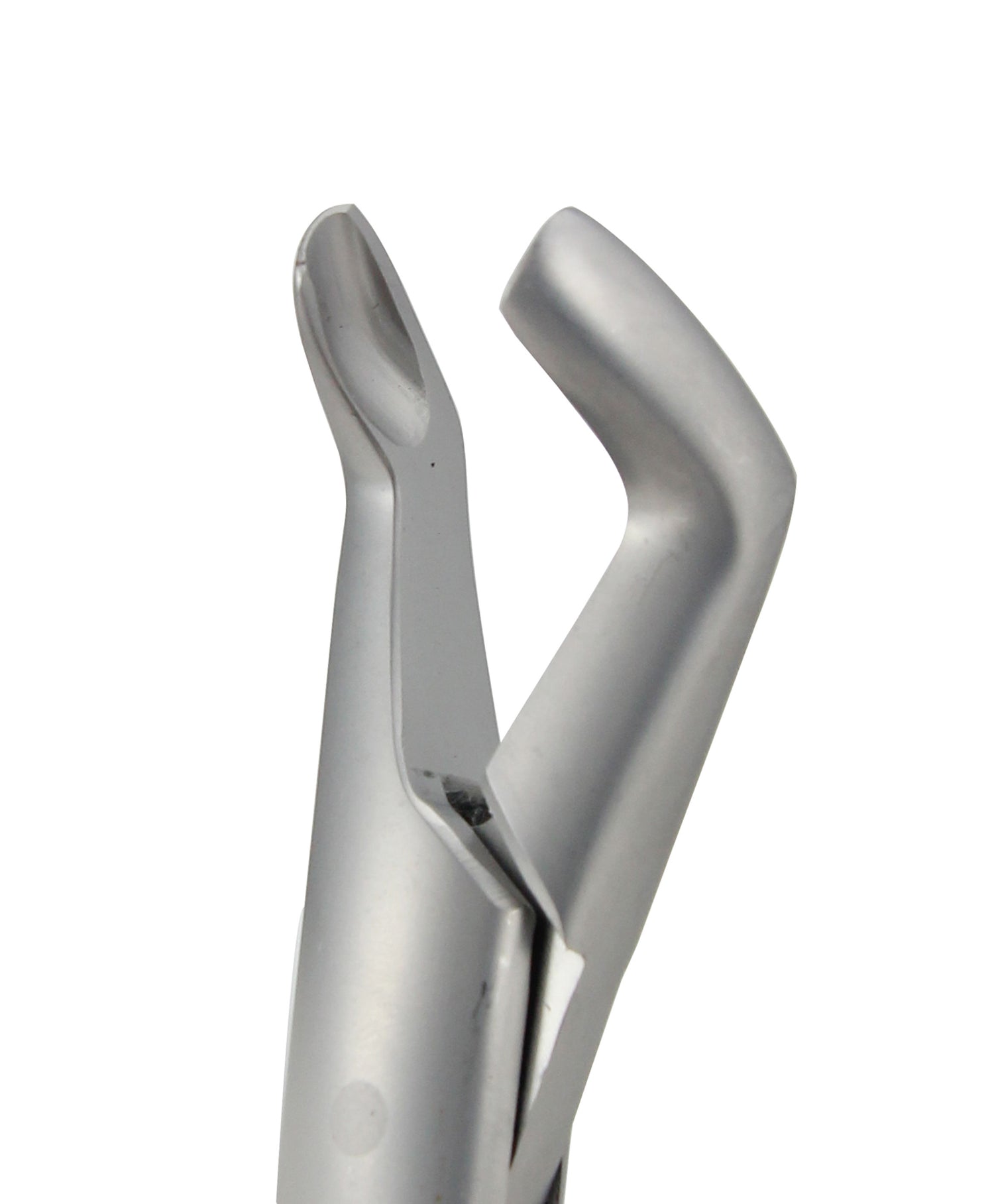 Extraction Forceps 222