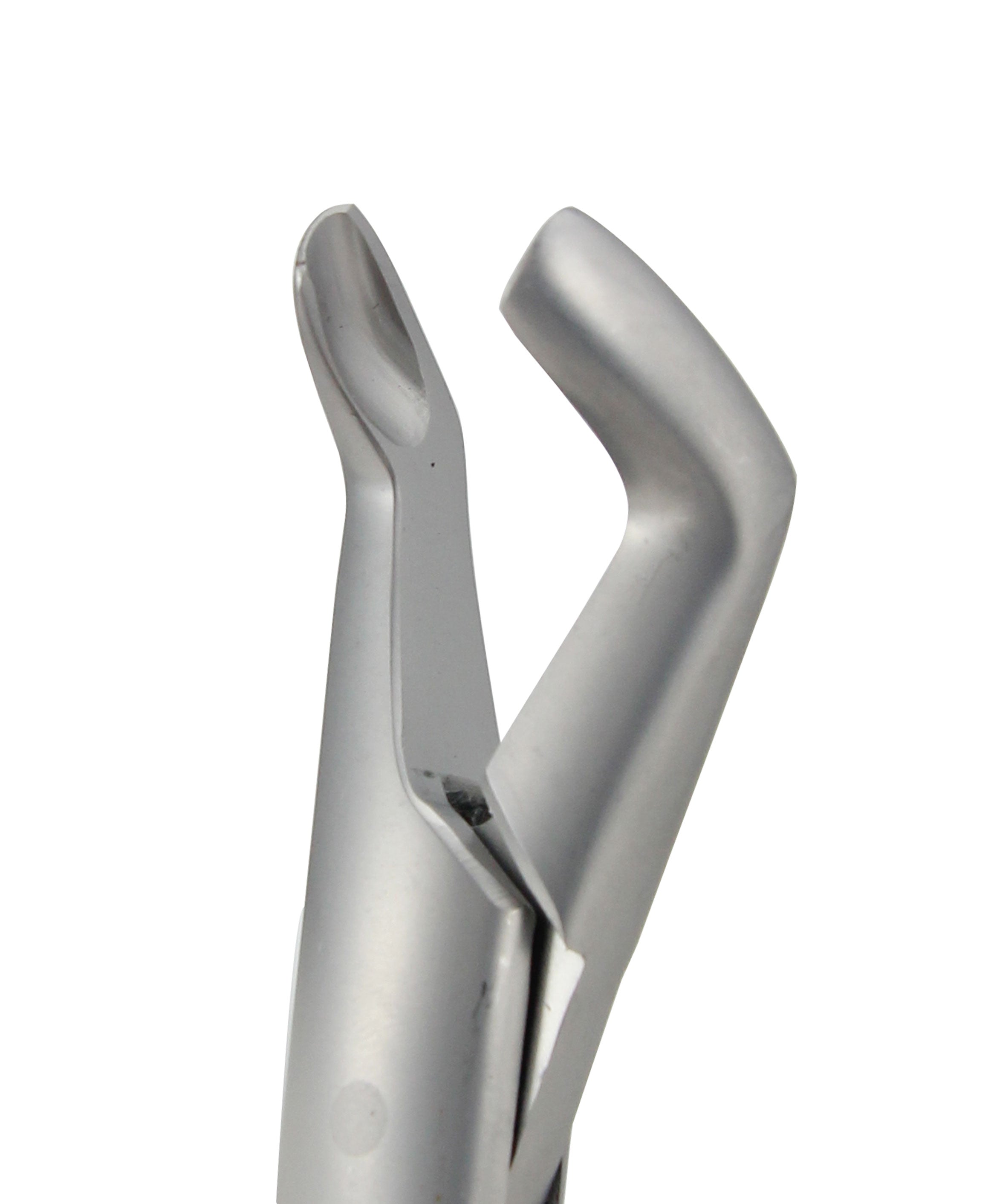 Extraction Forceps 222