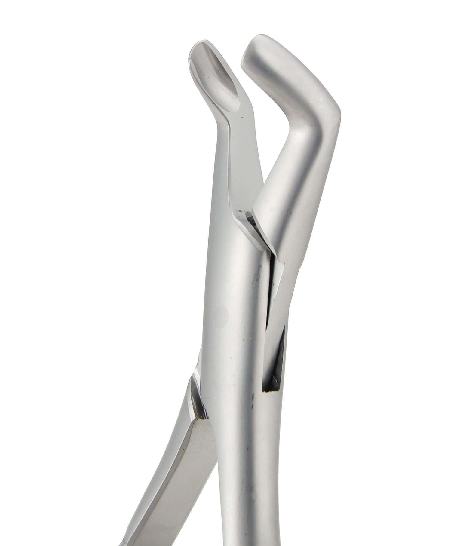 Extraction Forceps 222