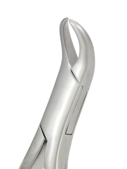 Extraction Forceps 069