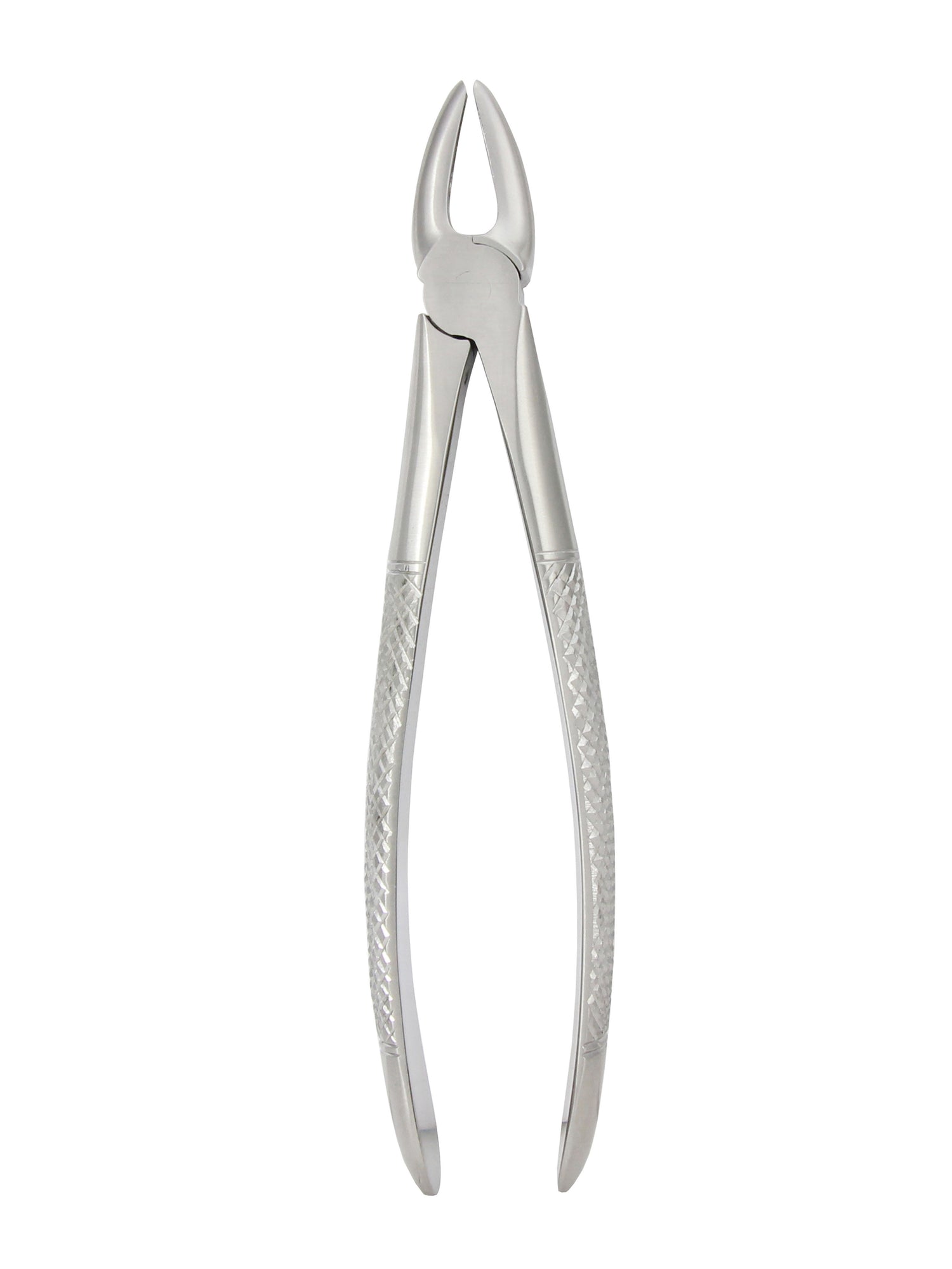 Extraction Forceps 029E
