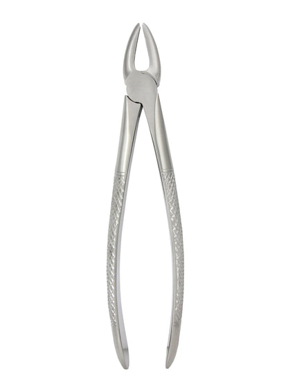 Extraction Forceps 029E