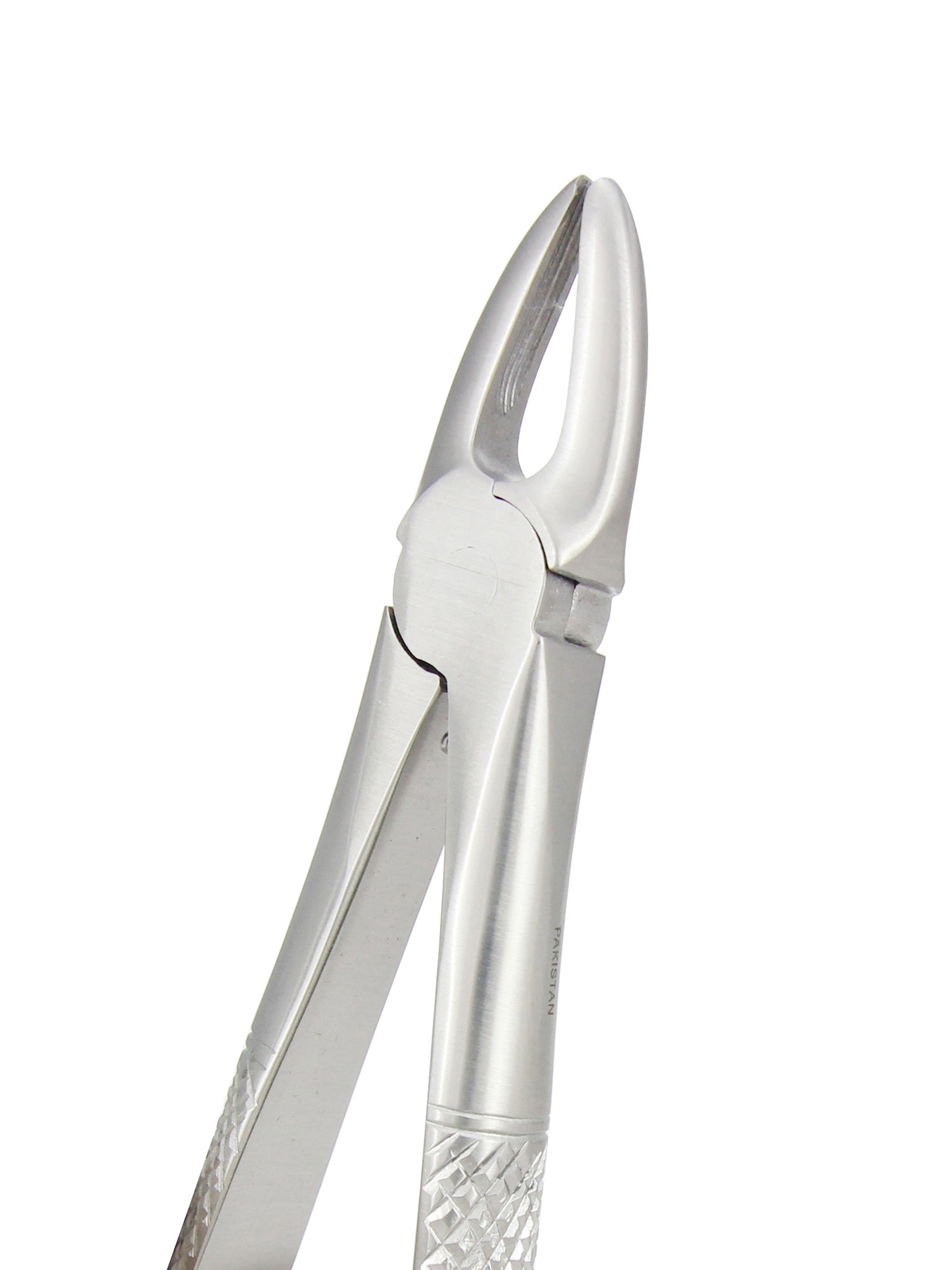 Extraction Forceps 029E