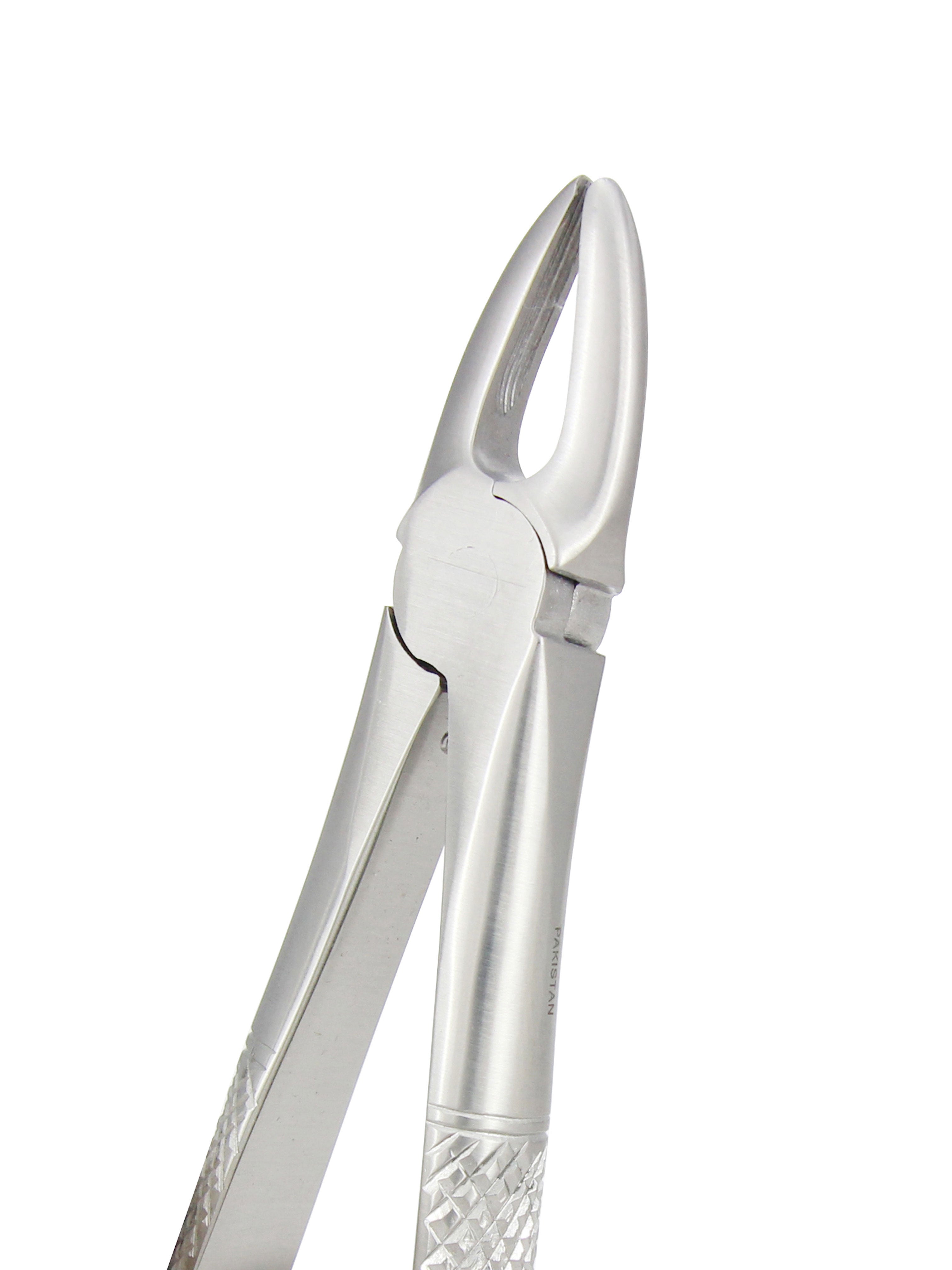Extraction Forceps 029E