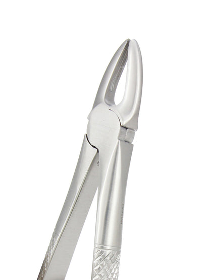Extraction Forceps 029E