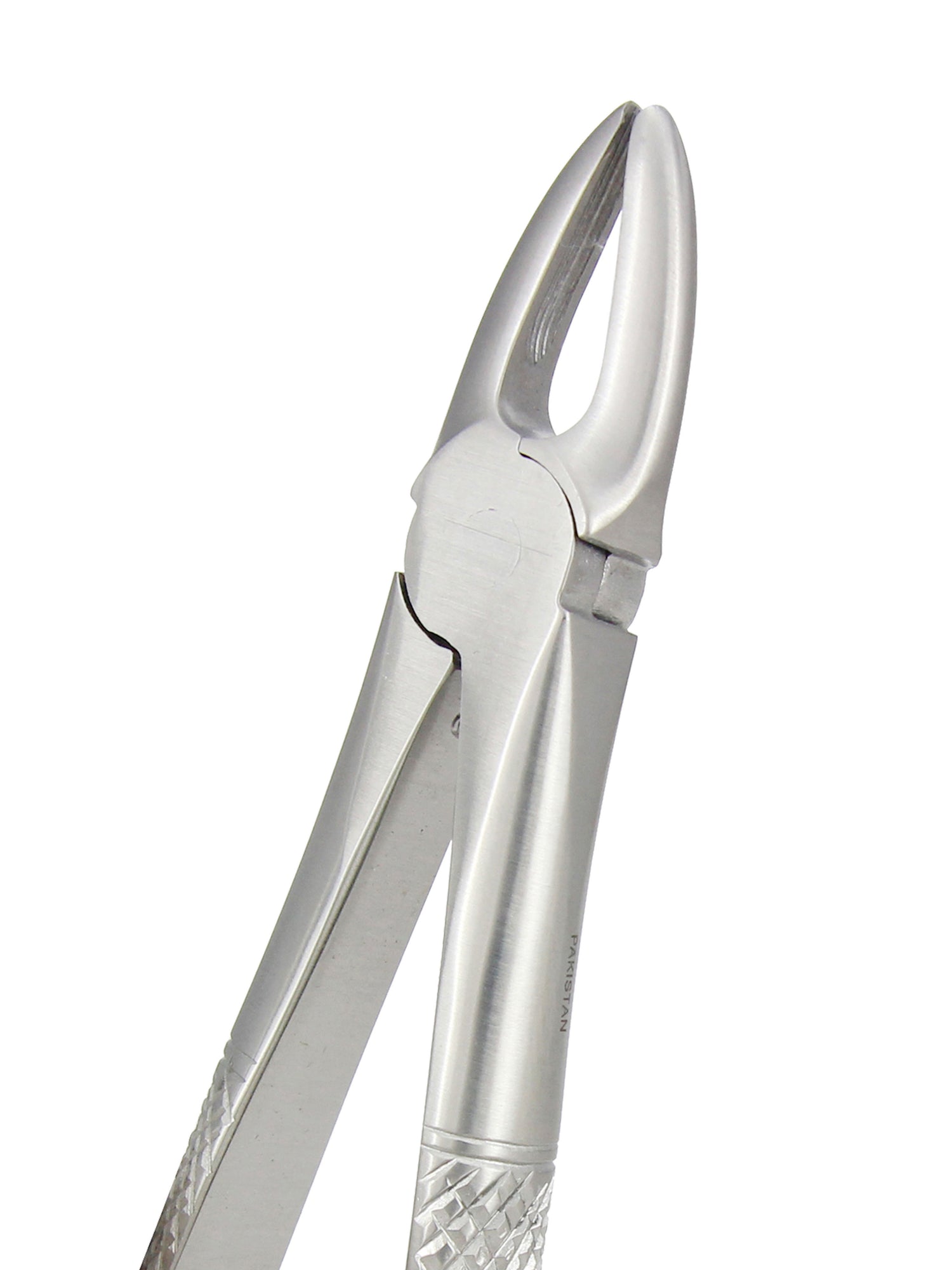 Extraction Forceps 029E