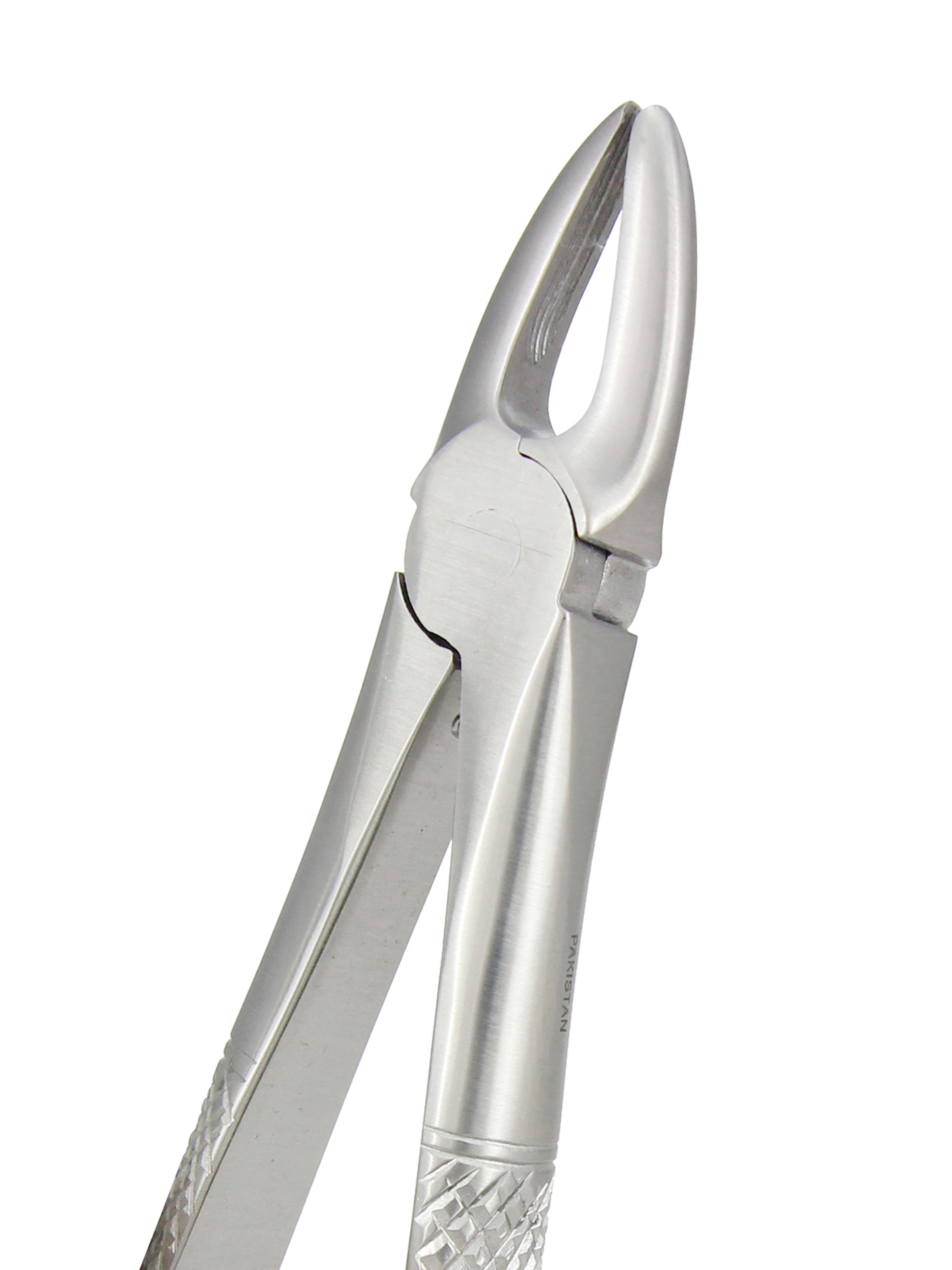 Extraction Forceps 029E