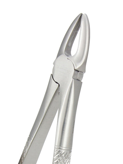 Extraction Forceps 029E