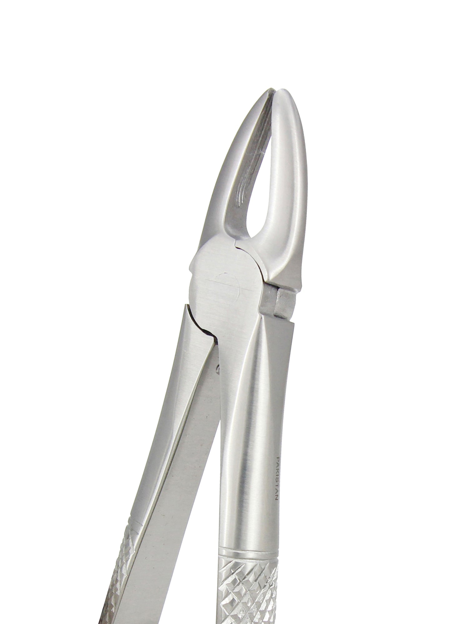 Extraction Forceps 029E