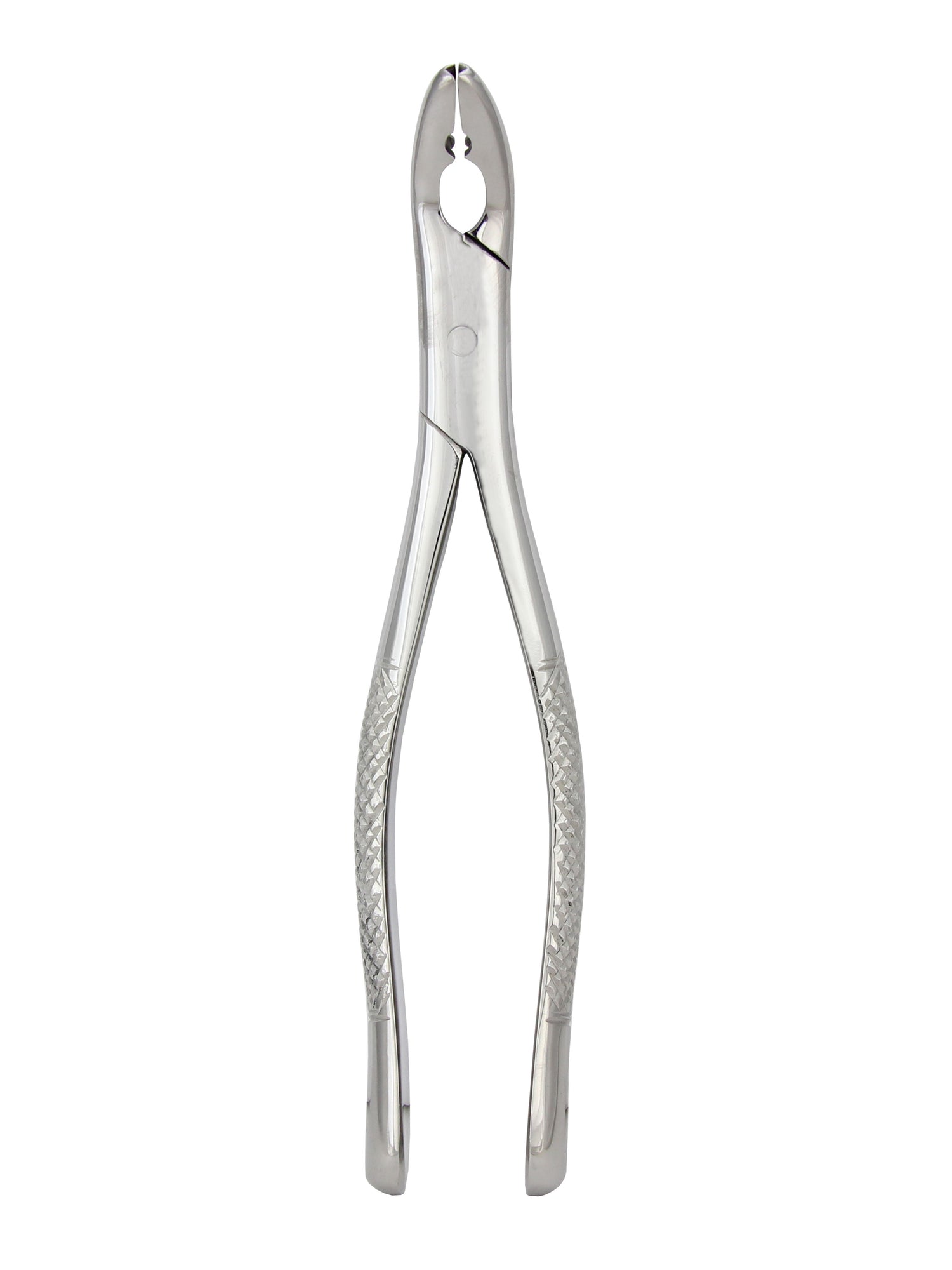 Extraction Forceps 151AS, Serrated Tip