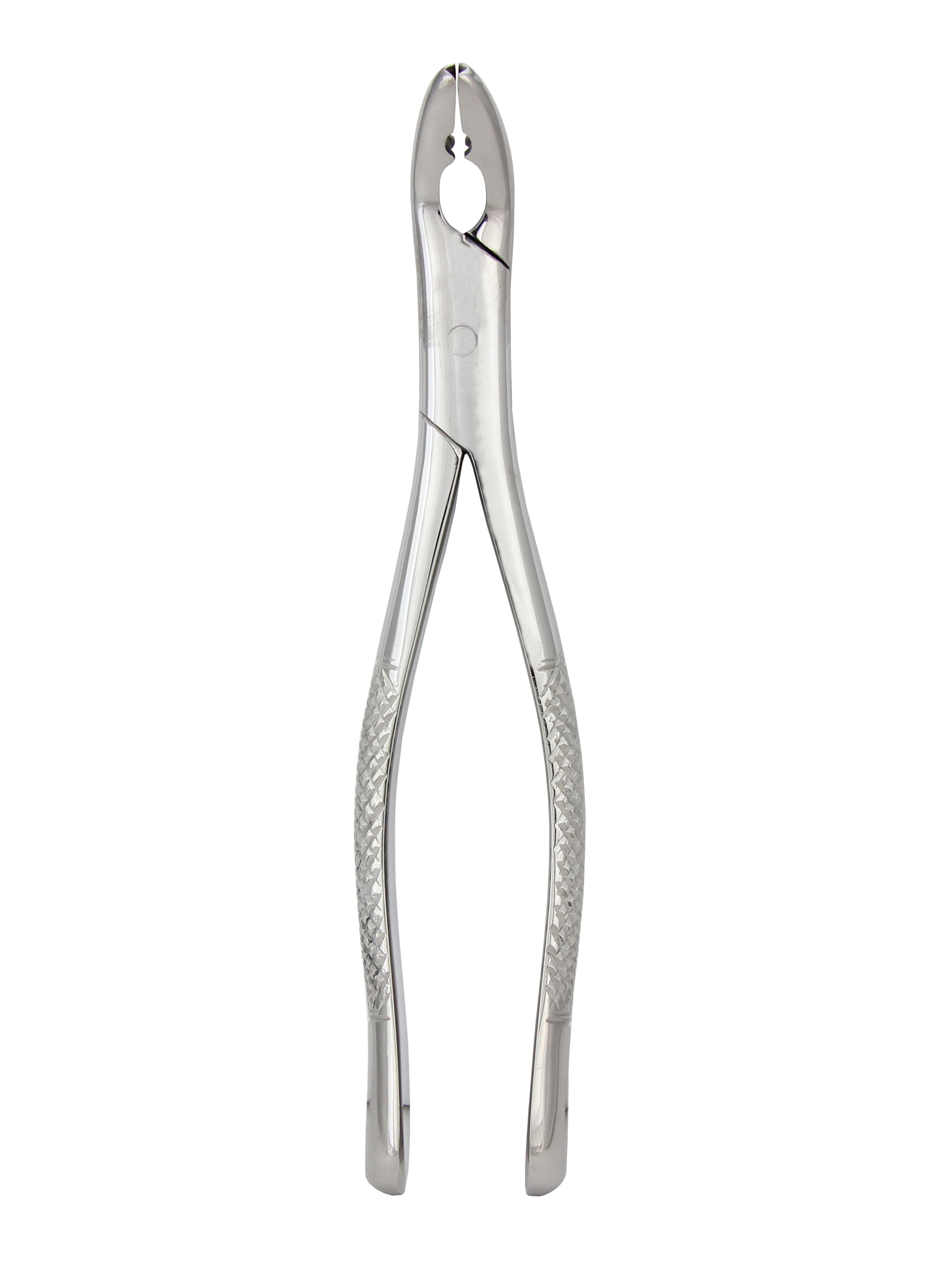Extraction Forceps 151AS, Serrated Tip